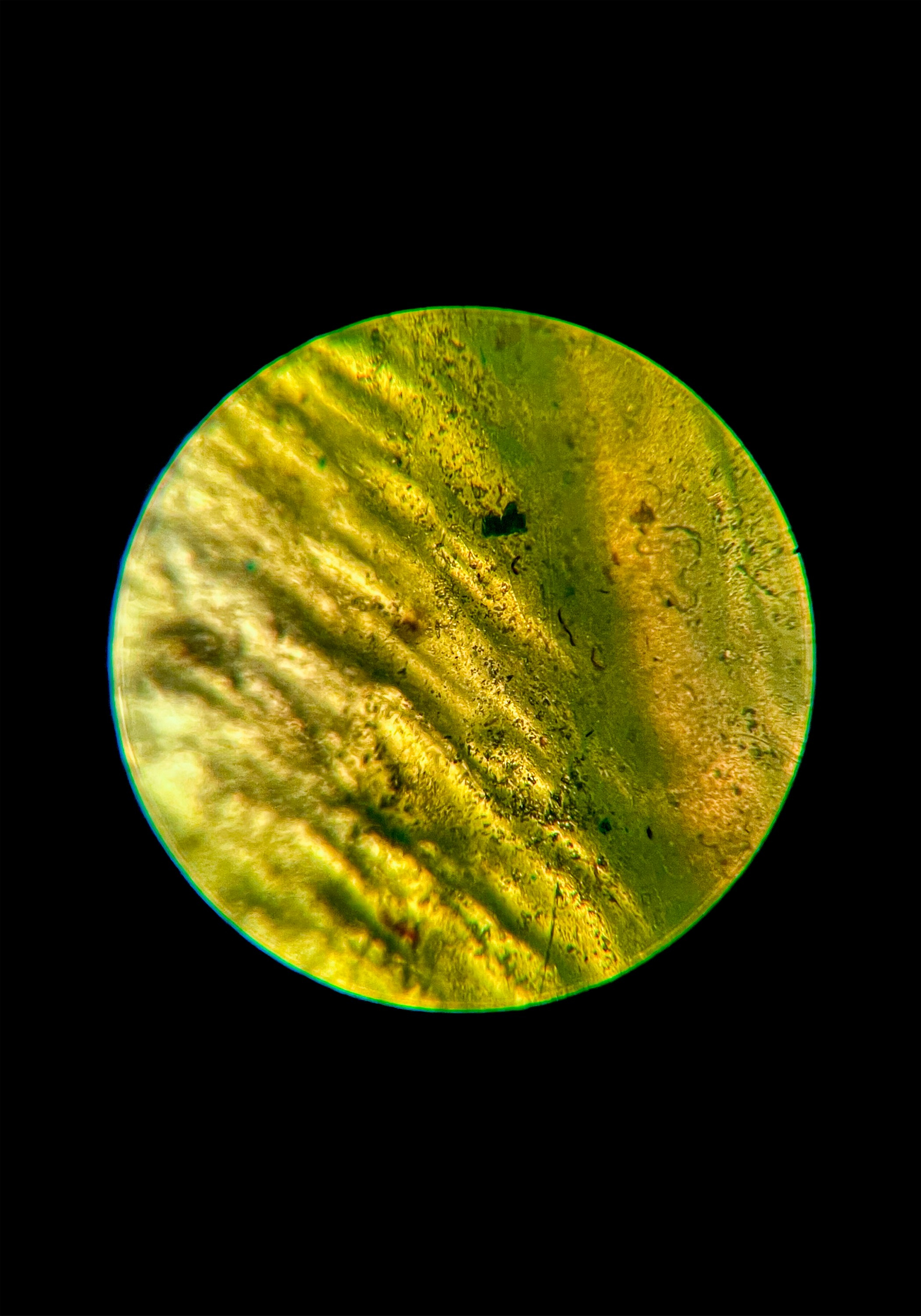 Микроскопластикопия / 2022. Туман Зла