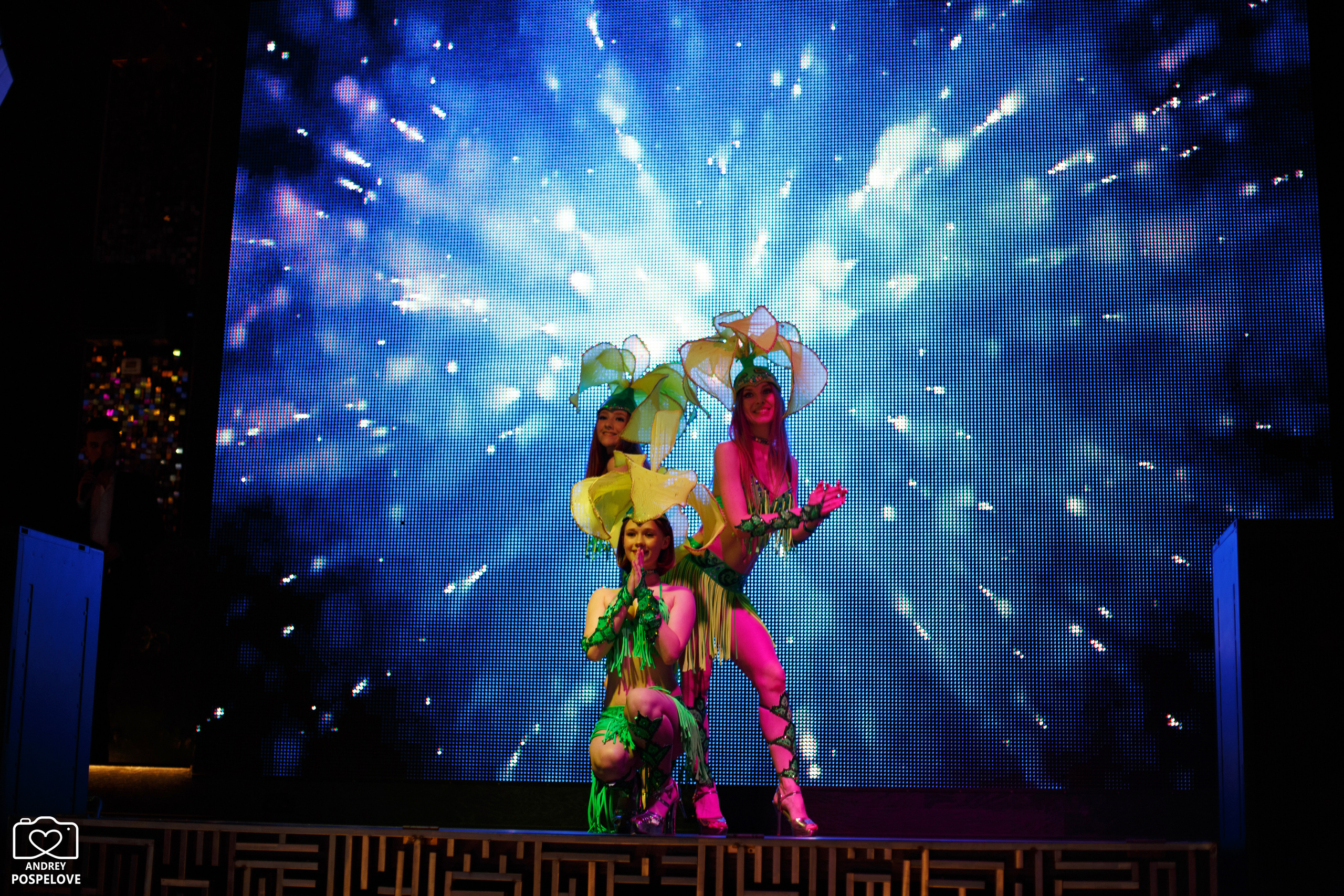 Свадебный переполох. Andrey Pospelove. Фотограф в Саратове