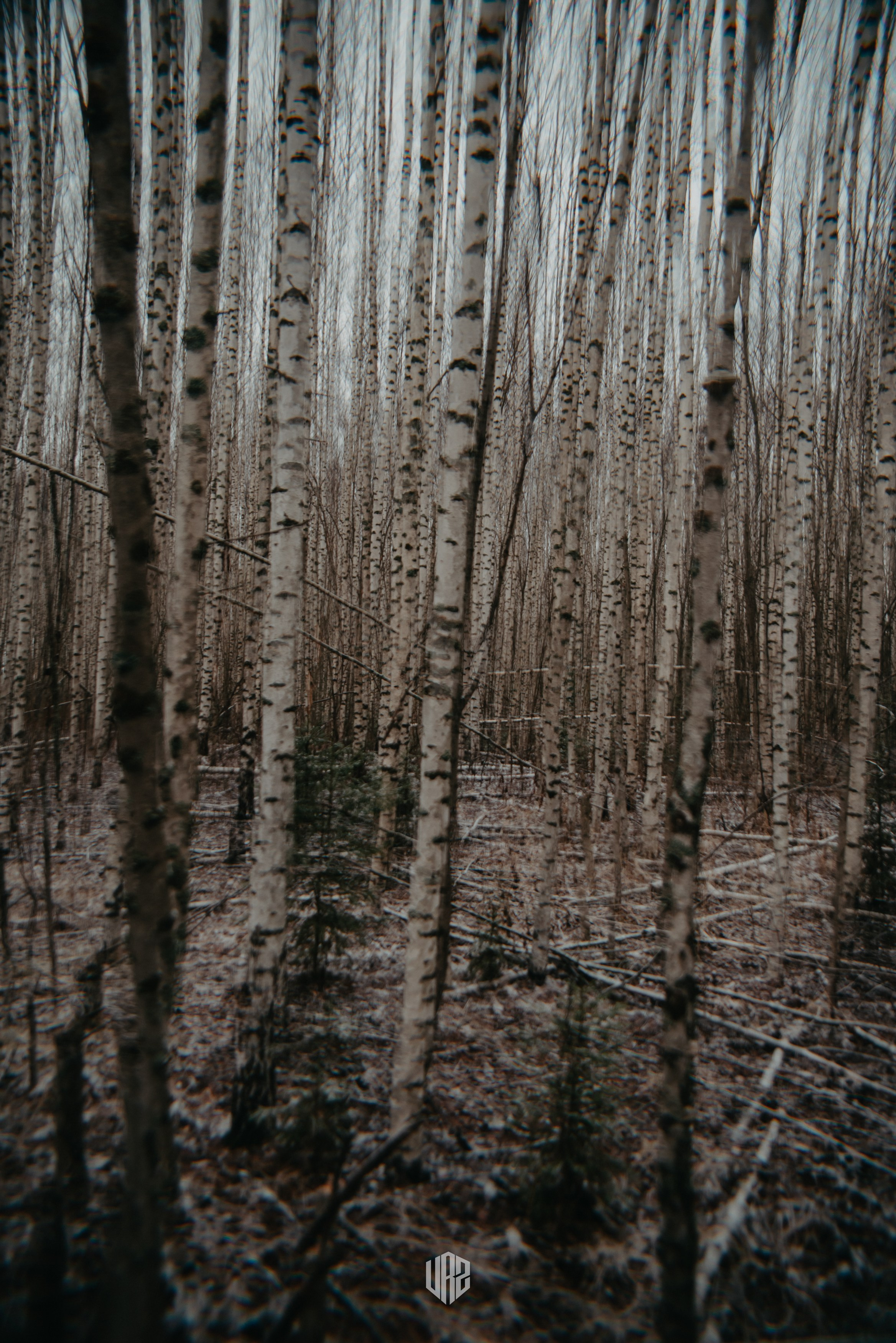«Затерянное Вятки». Путь на «поющие пески». Контент фотограф Илья Урс