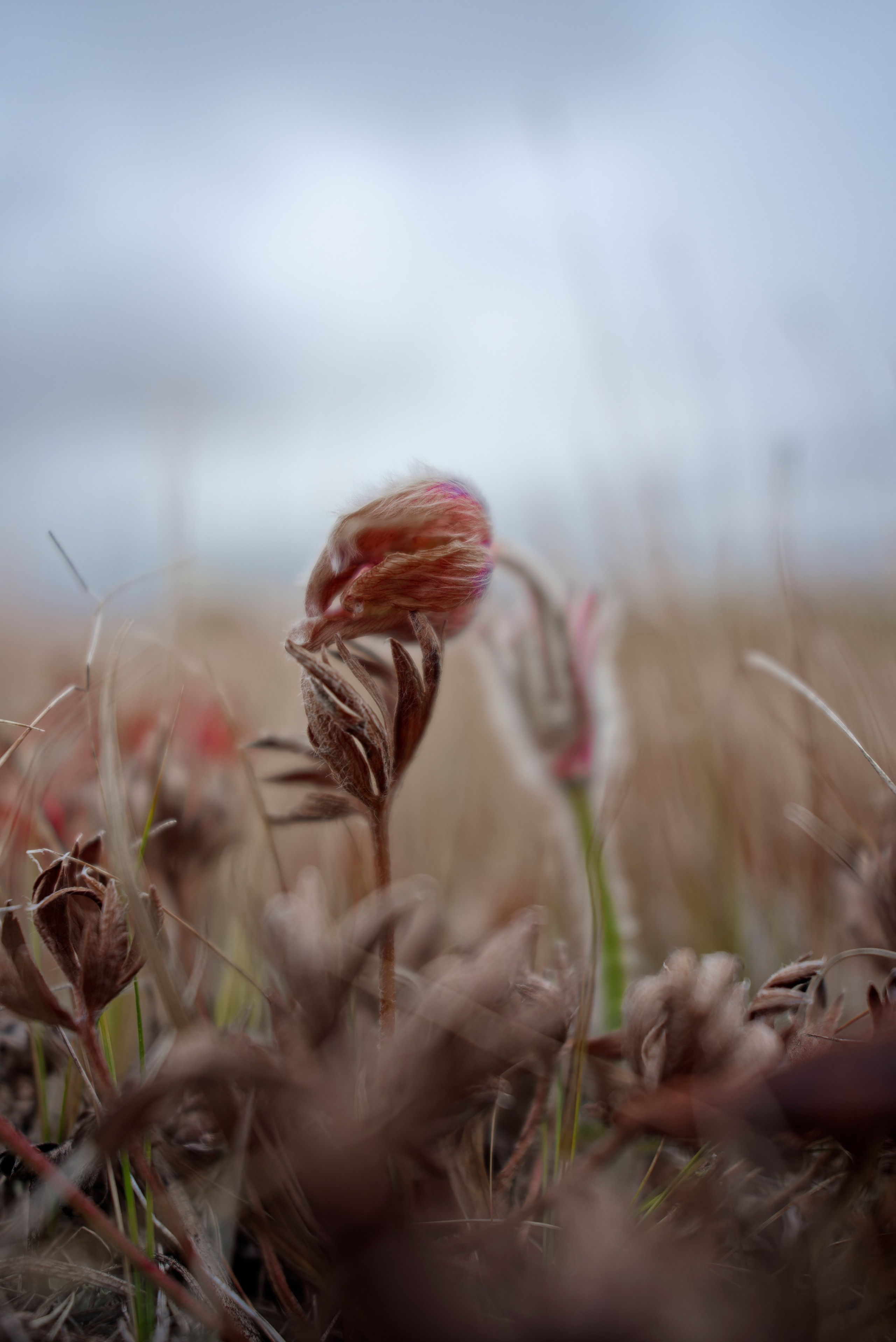 Путешествие по южному Алтаю. Семоха Валерий. Фотограф