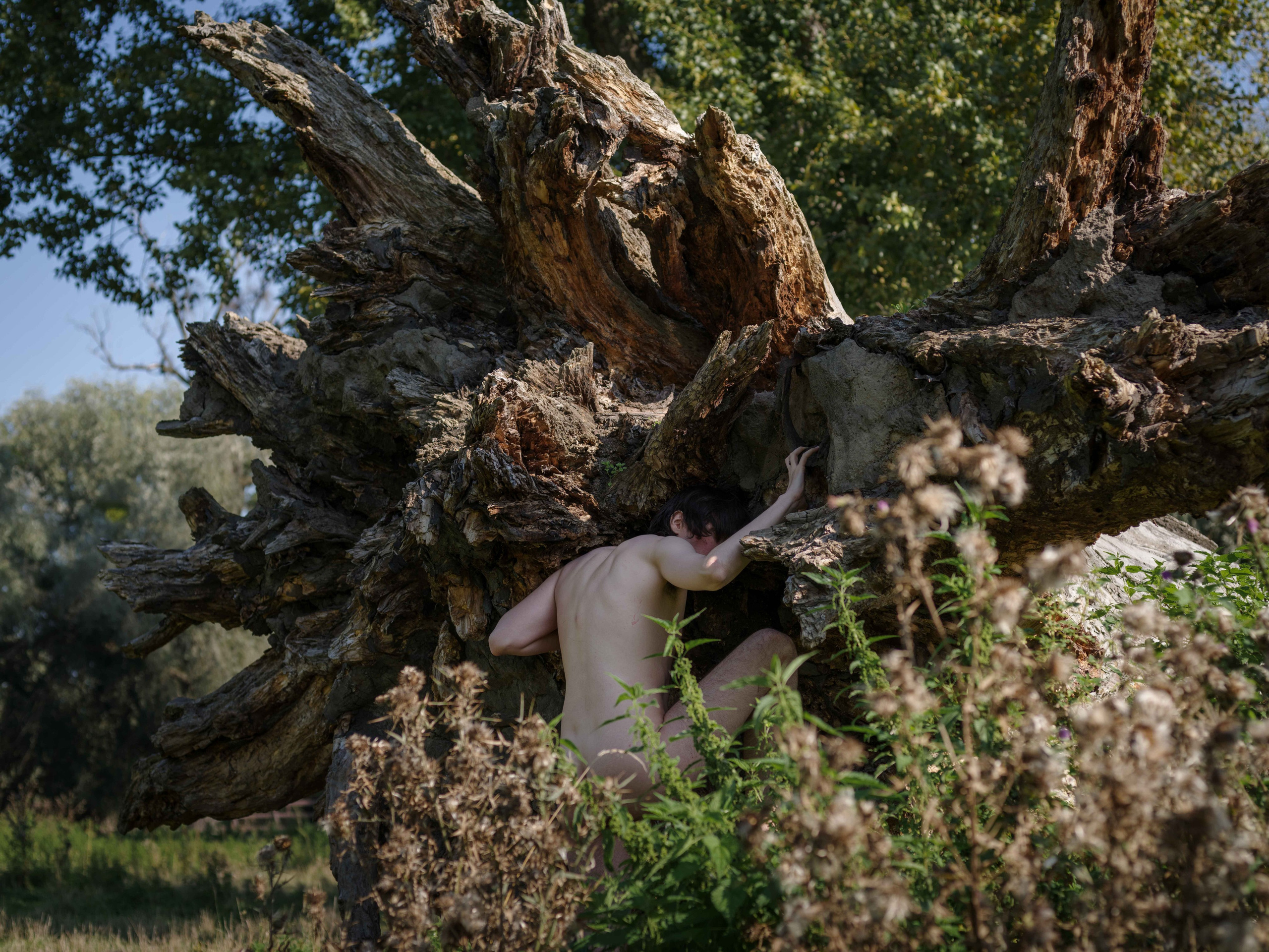 Antropocen (ongoing). Photographer, Documentary and Art