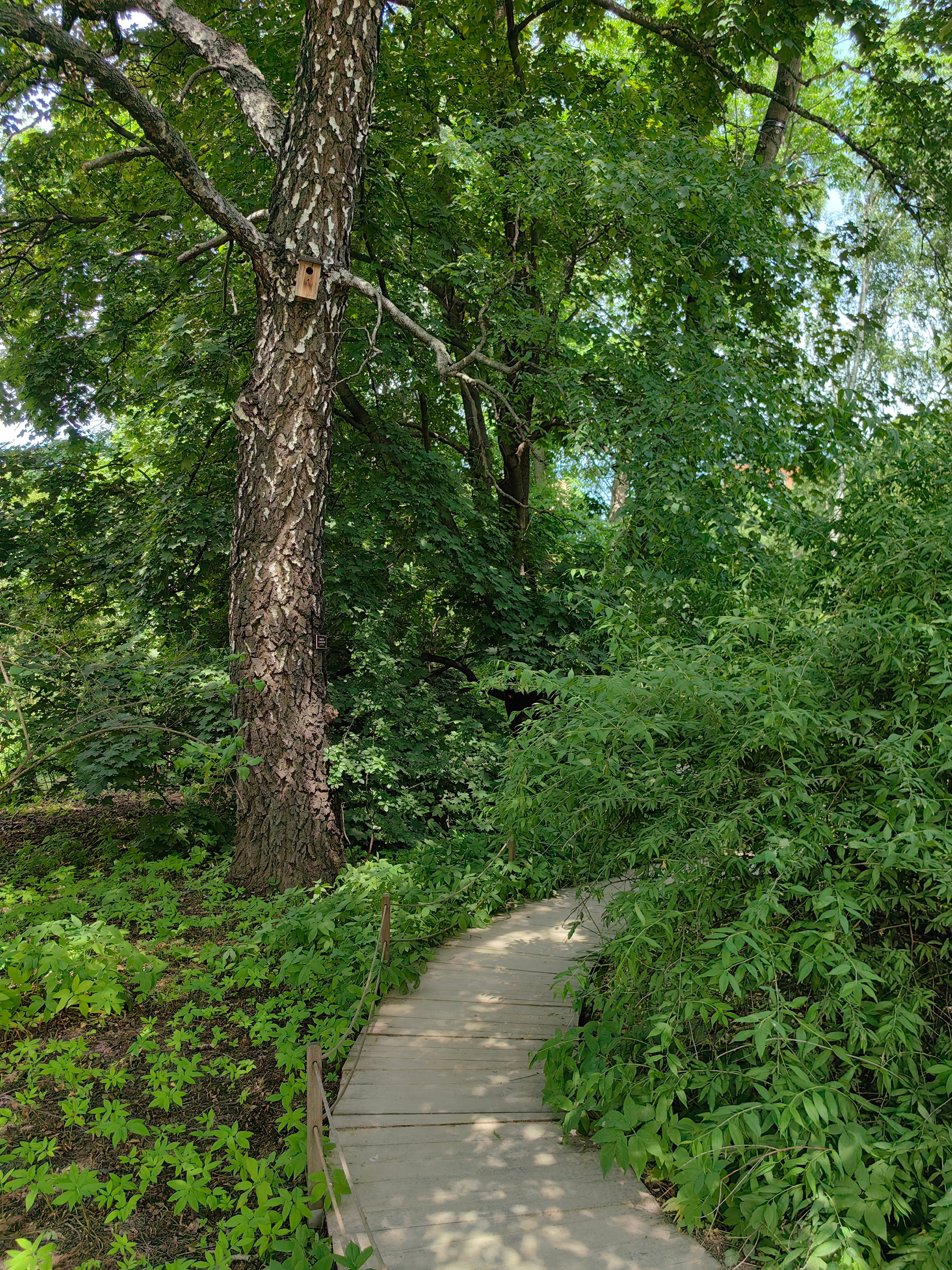 Парк АПТЕКАРСКИЙ ОГОРОД обзор. Фотограф в Москве и Московской области (Ю-В) Олеся Макарова