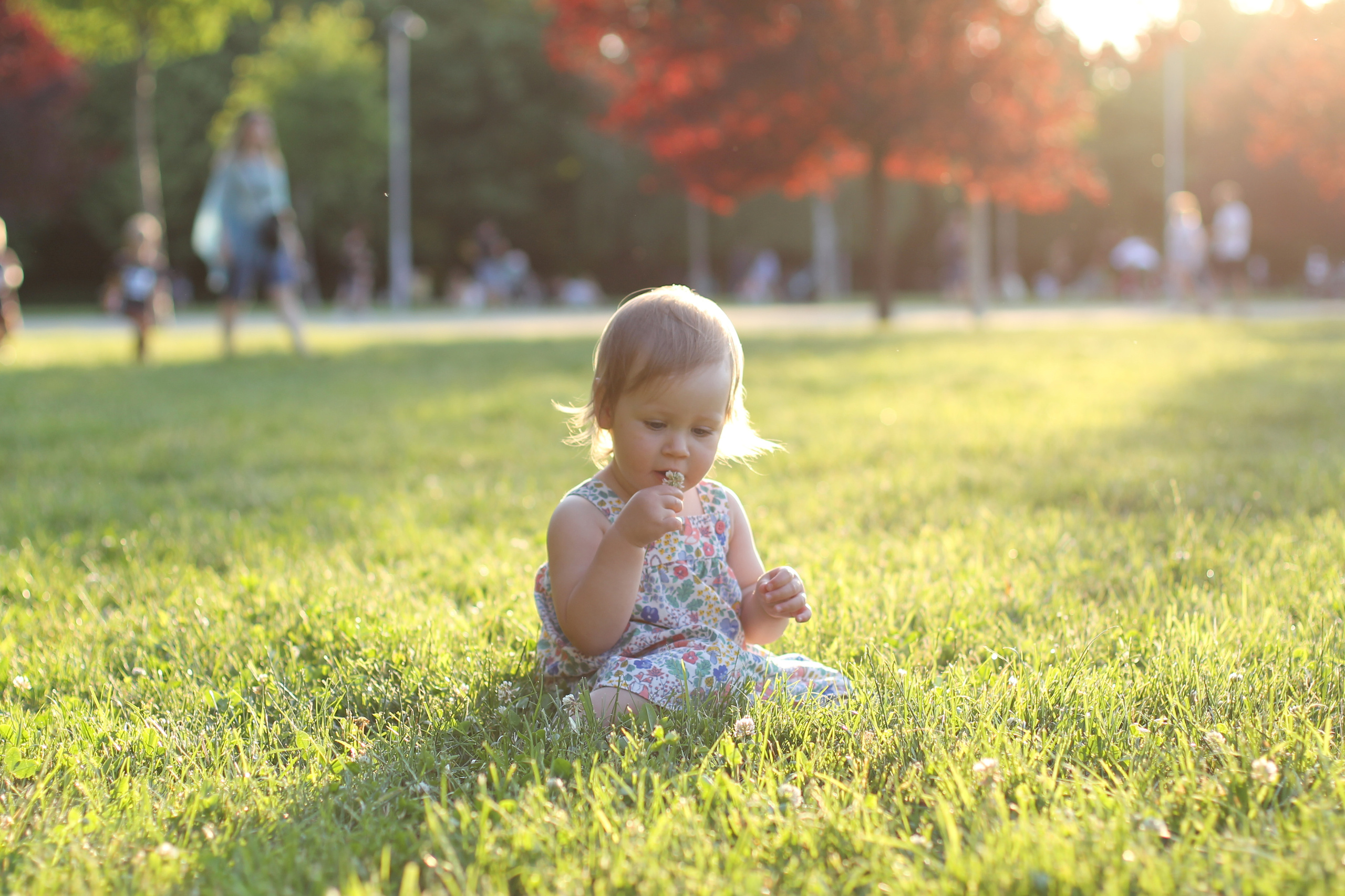 Курс по фотографии «Мое Вдохновение». Семейный и детский фотограф в Сочи Наталья Вербицкая