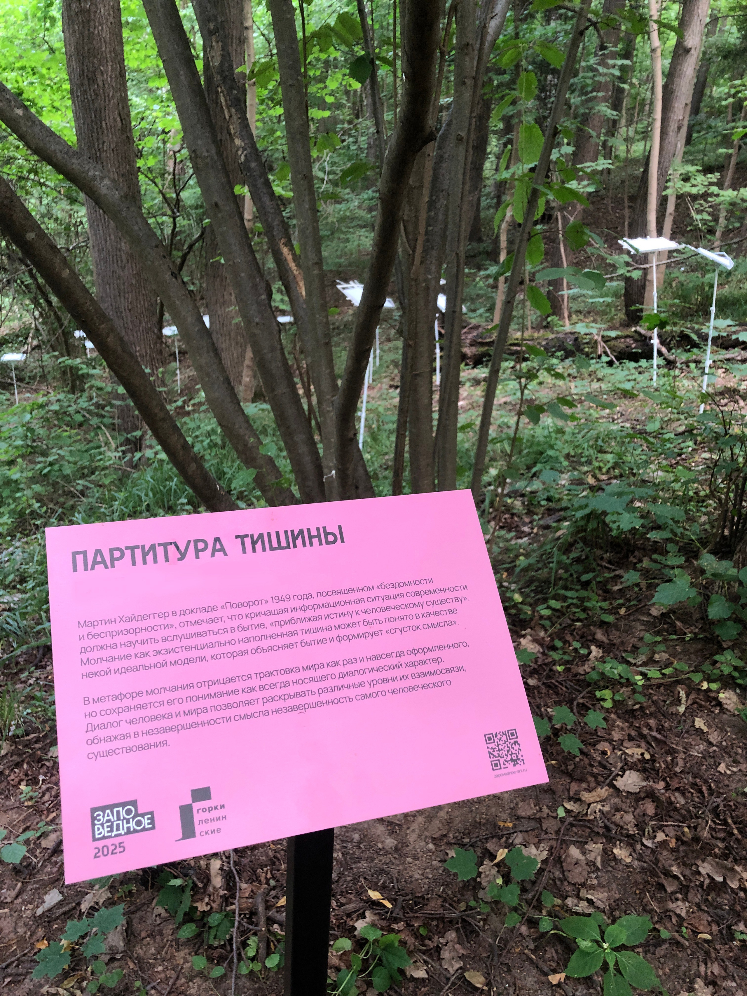 Паблик-арт. Современная художница Елена Алексеева (Alpha_Vita)