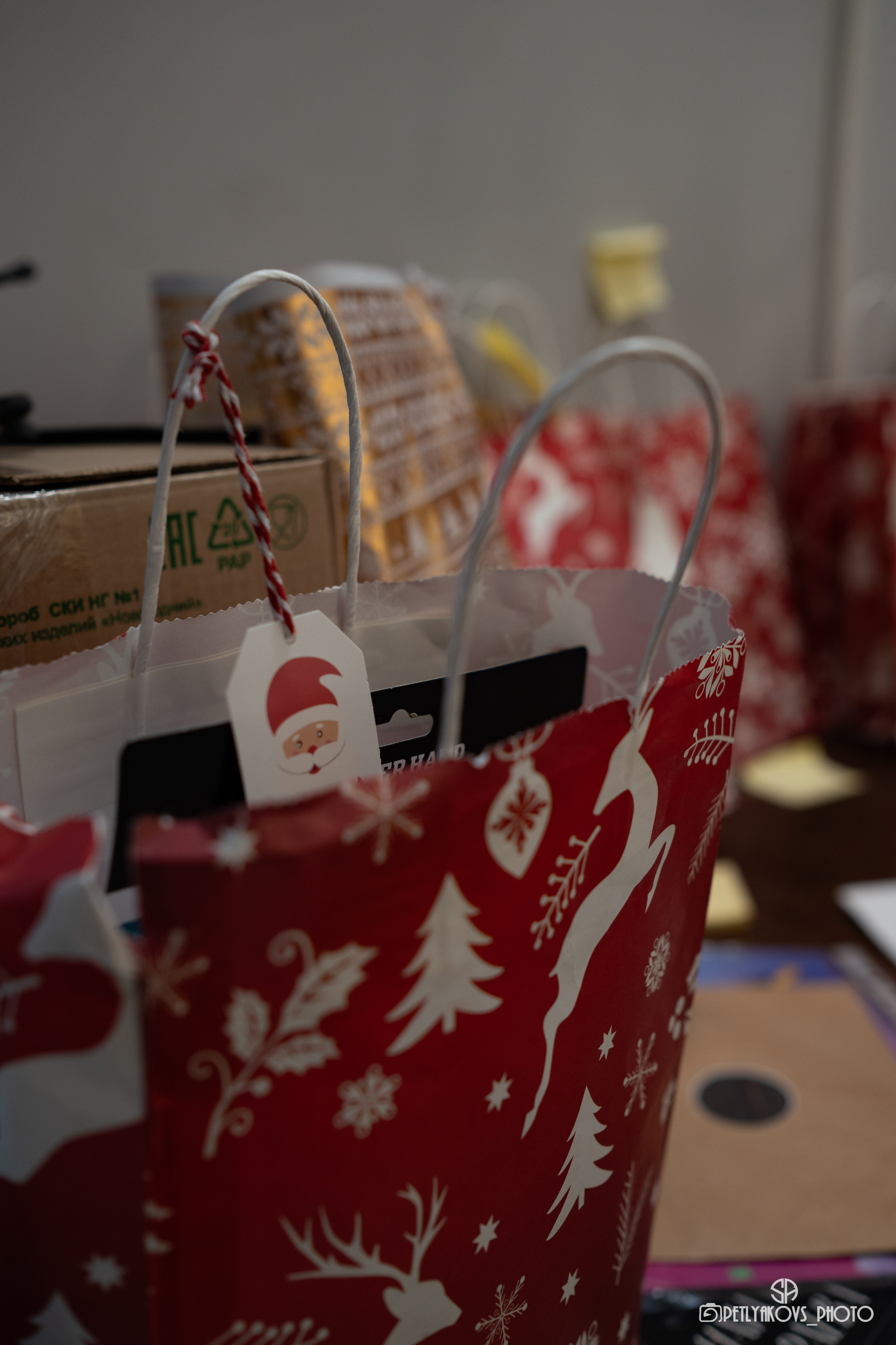 Отчётный концерт LEVITA. Фотограф, видеограф Пятигорск, Ставрополь, Ессентуки, Petlyakovs_photo