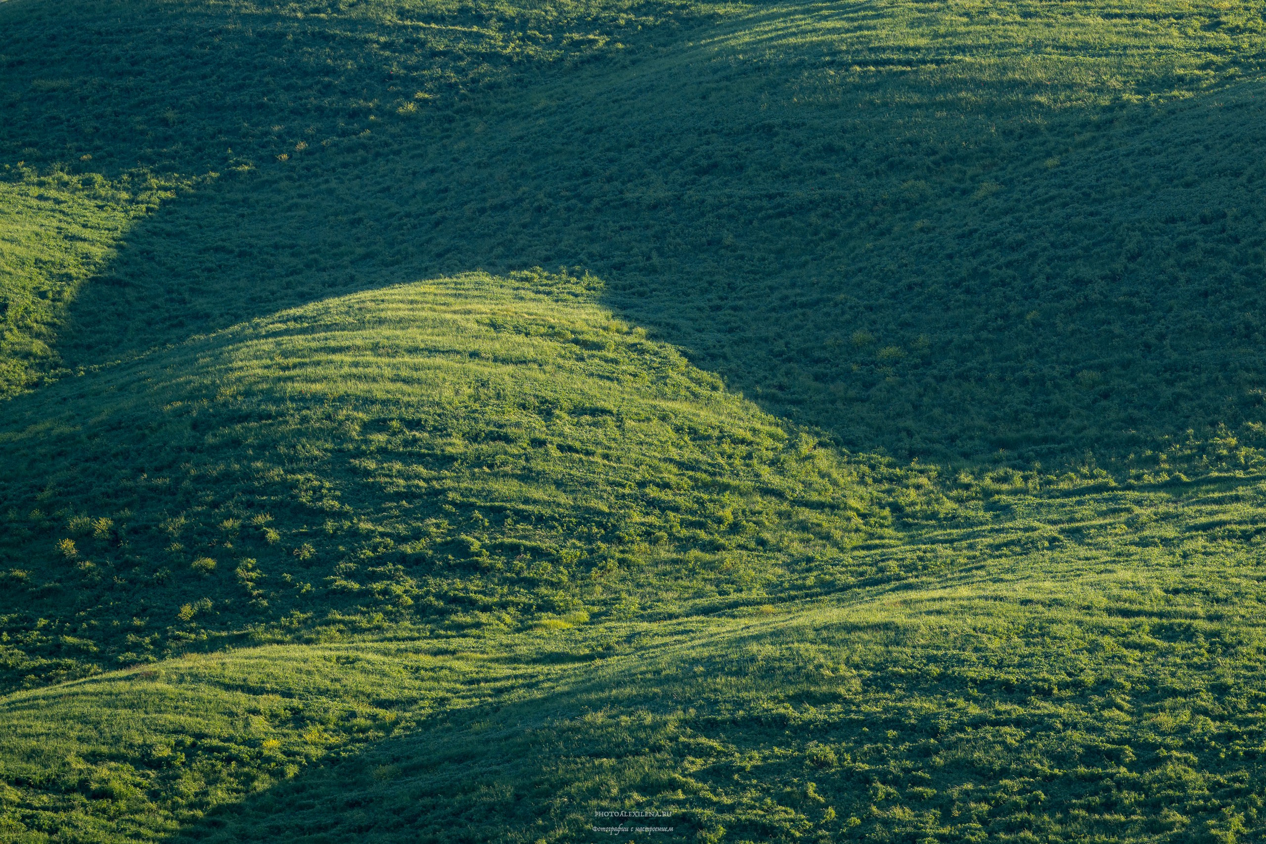 Долина Крете Сенези (Crete Senesi). Авторские стильные фотокартины