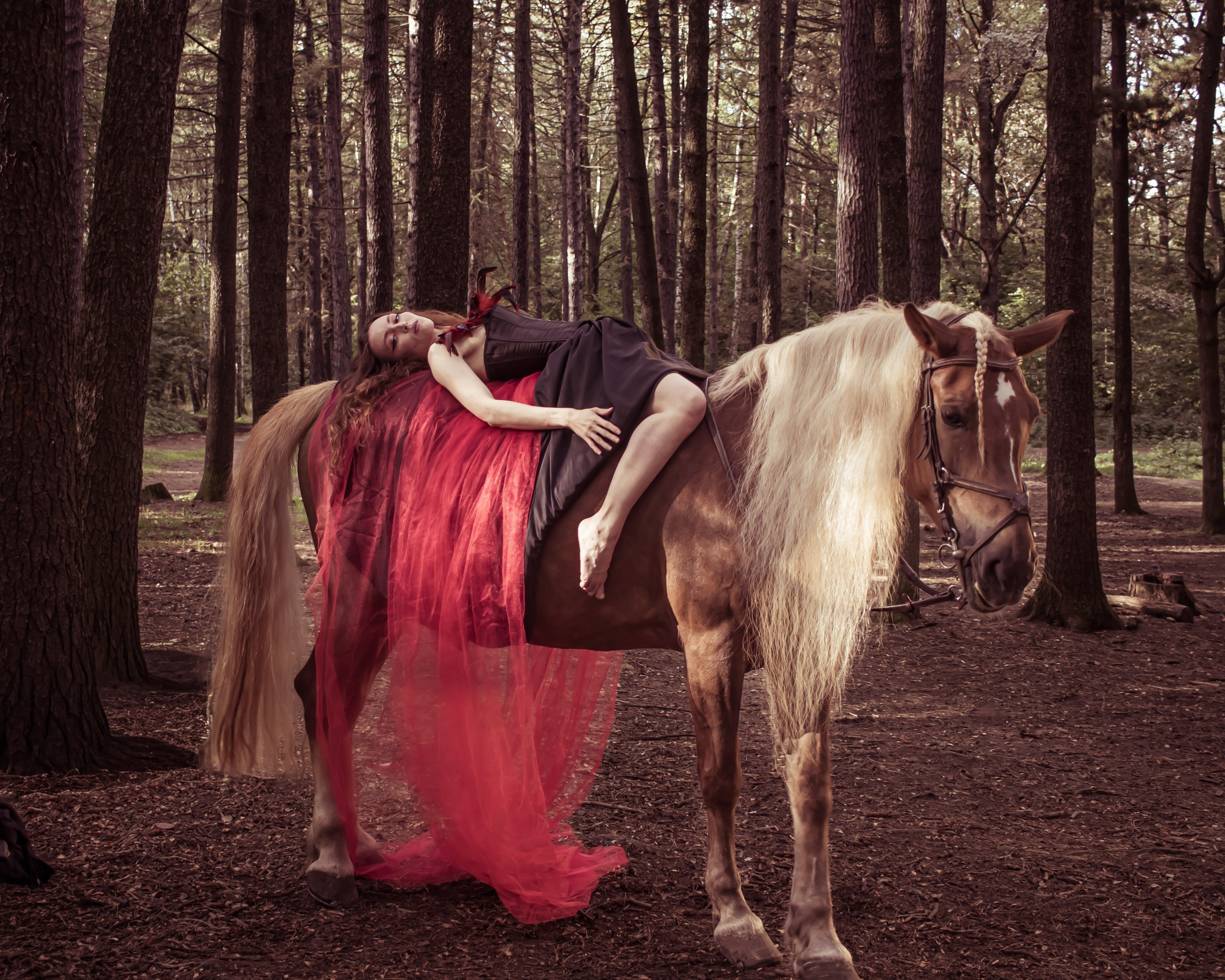 Модель в чёрном платье на лошади, мистический образ ведьмы • фотограф Карасёва Елена