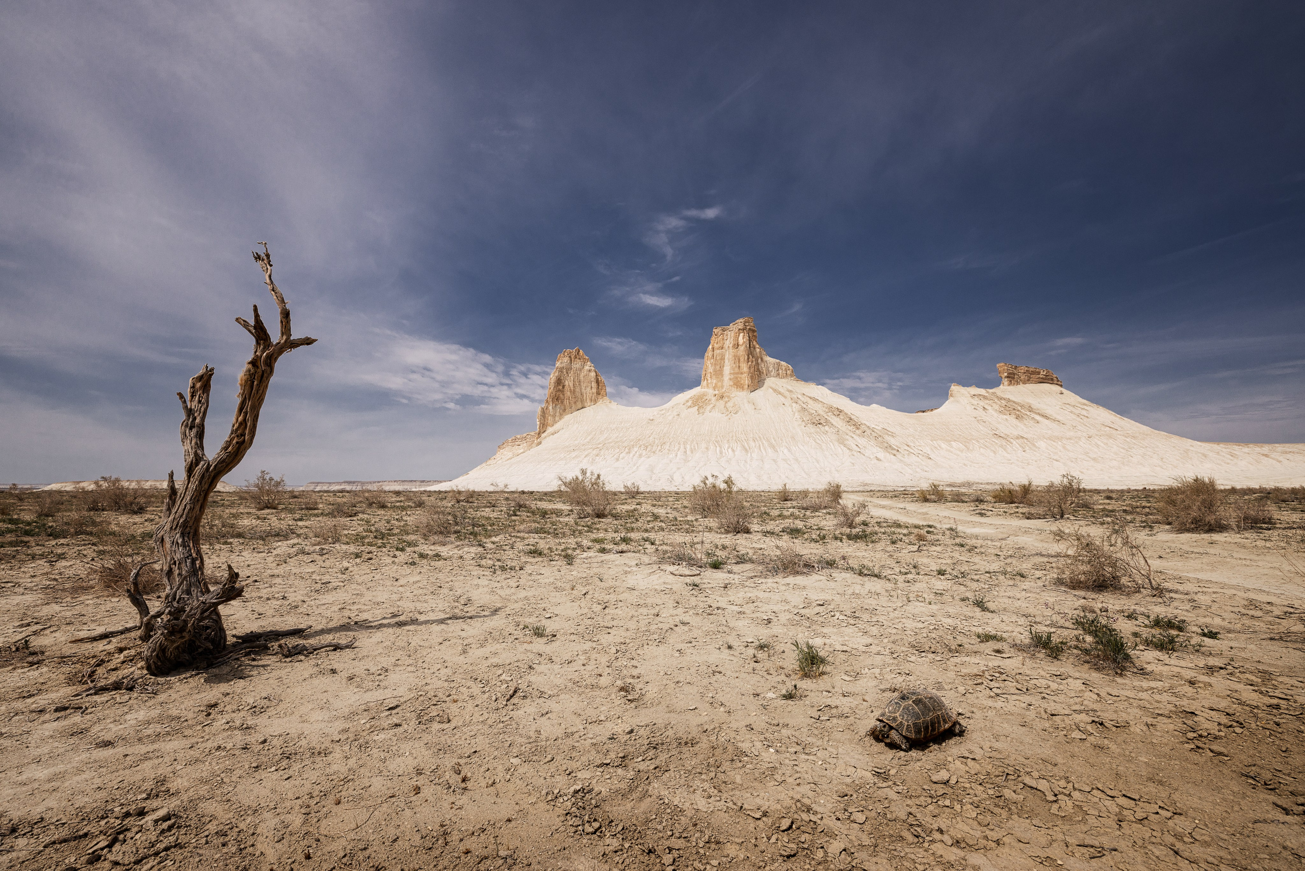 Мангистау Апрель 2025 | Фотограф Дмитрий Купрацевич. Дмитрий Купрацевич профессиональный пейзажный и travel-фотограф