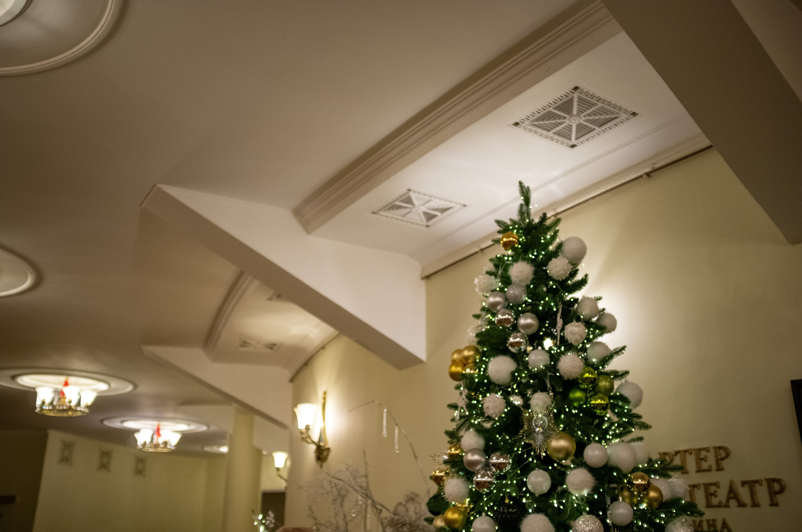 Новогодний вечер. Итальянка в Алжире. Искусство фотографии. Мария Осокина