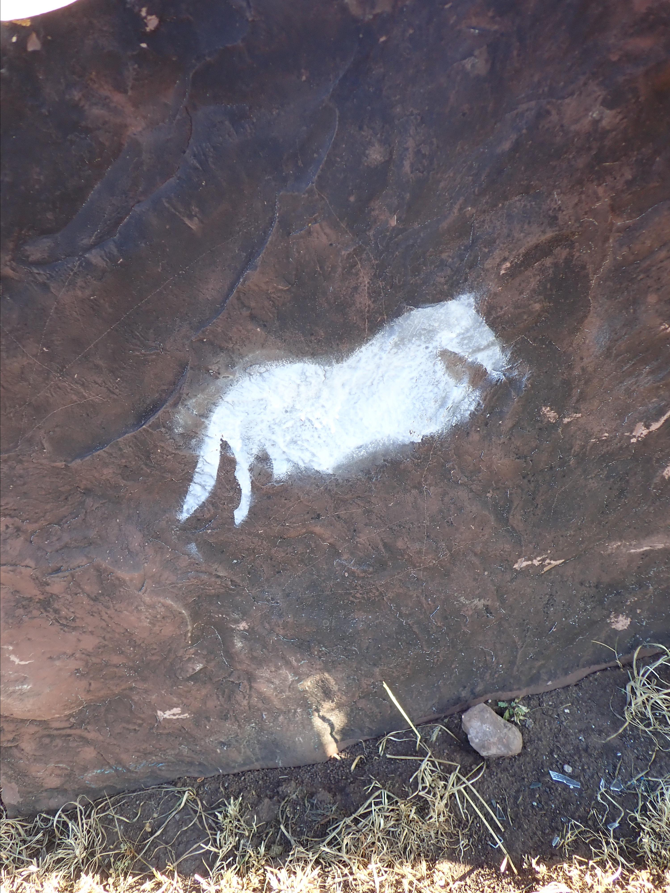 Пещерные чародеи. Детские программы Школа безопасности Новосибирск