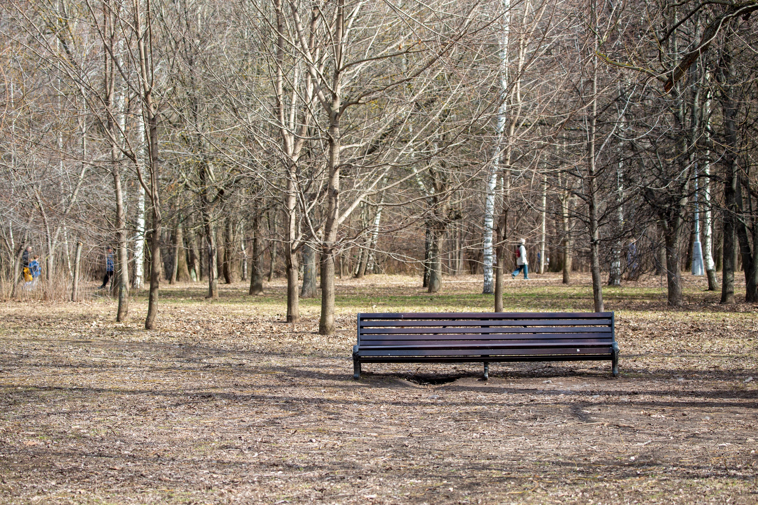 Весенняя фотопрогулка. Главная