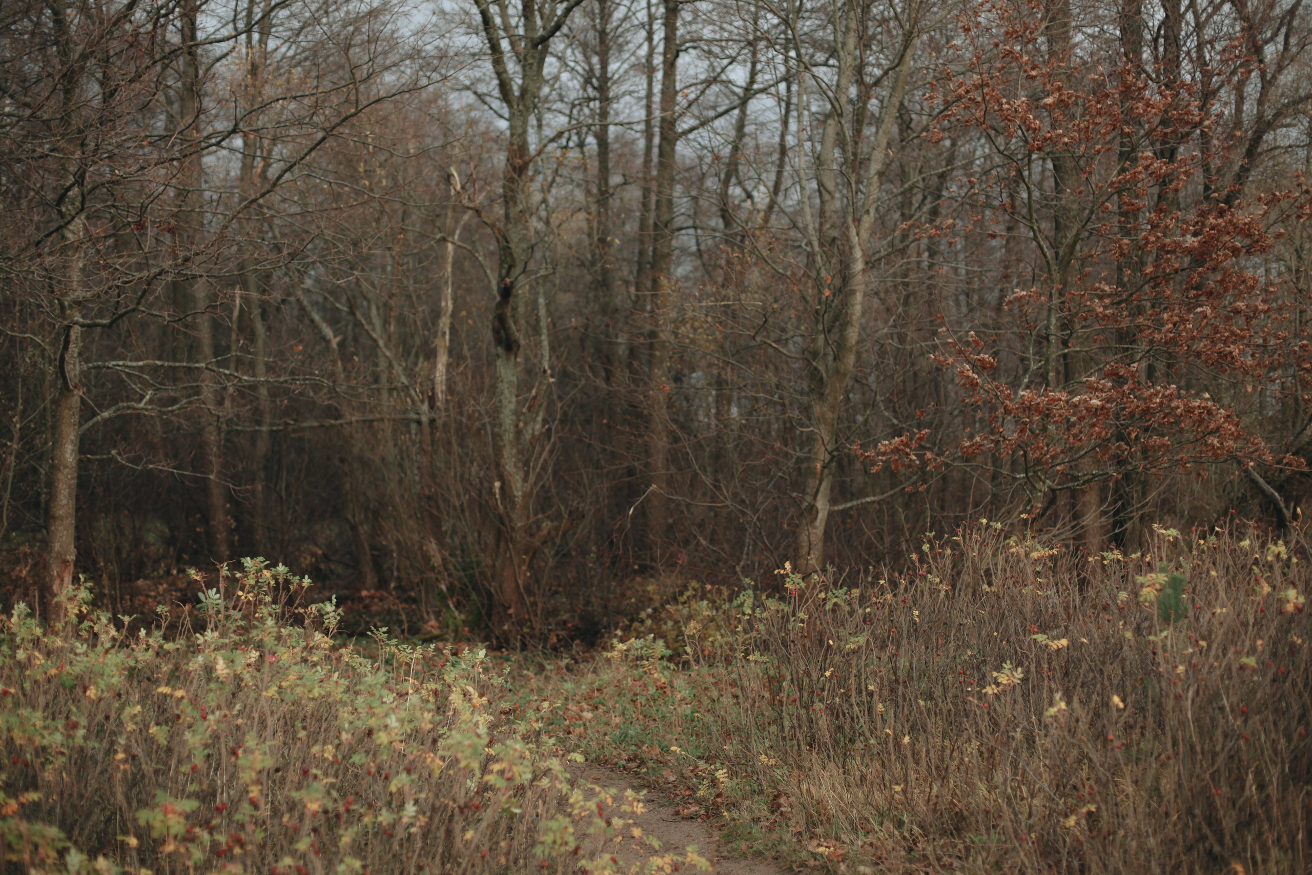 Семейные съемки. Ксения Плотникова