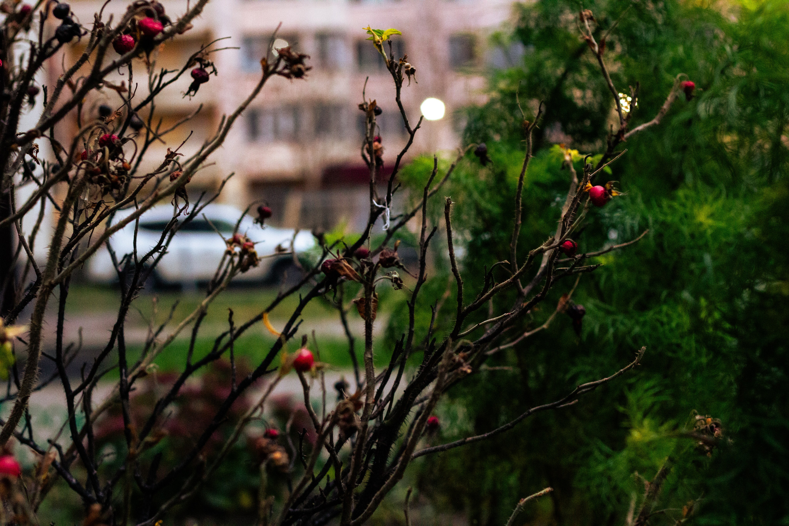 Осень в Москве. Фотограф Москва, портрет, стрит, репортаж. Художественная фотосессия