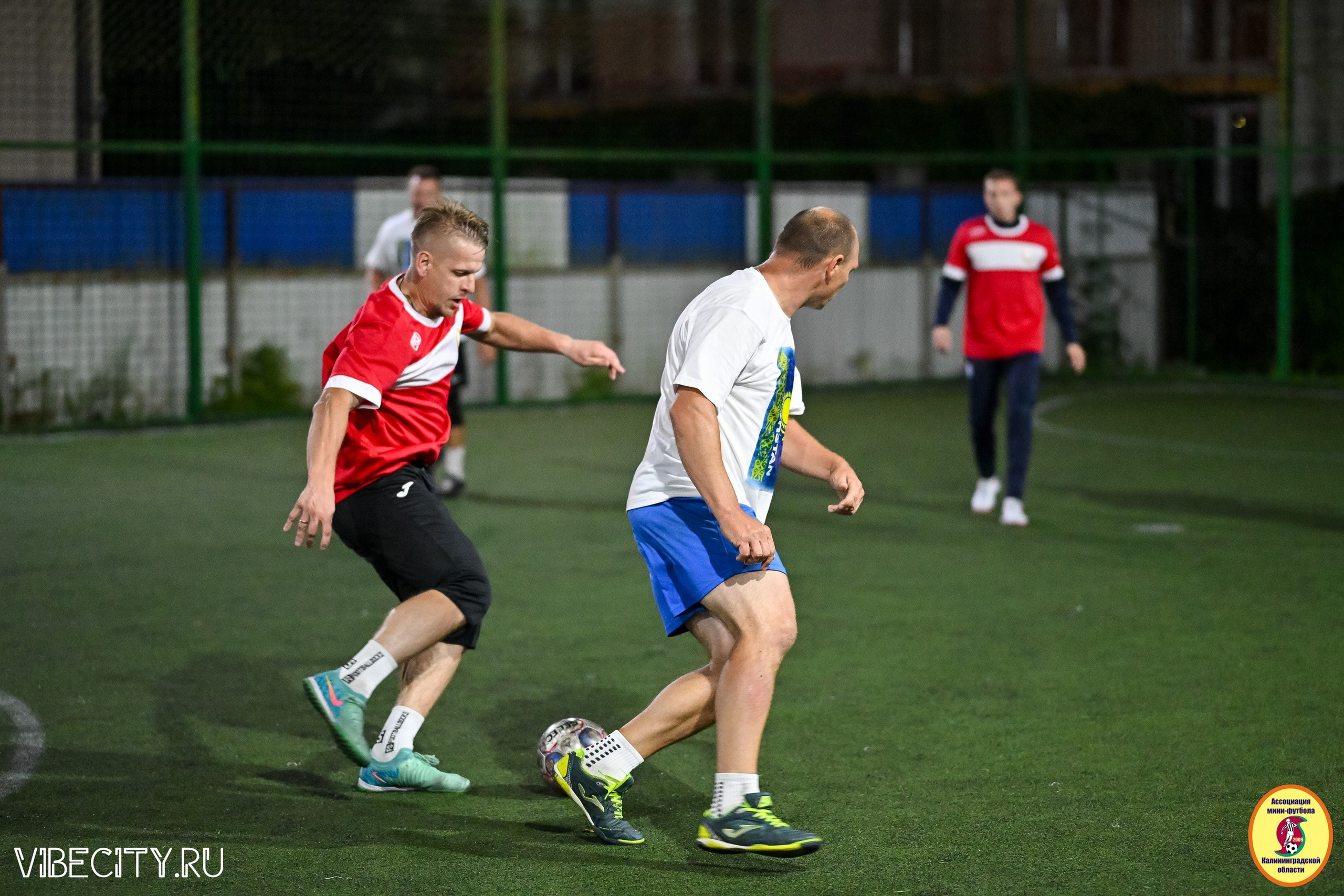 КУБОК ДРУЖБЫ. VIBECITY.RU Вайб Сити Ру Фоторепортажи Фотоотчеты Калининград