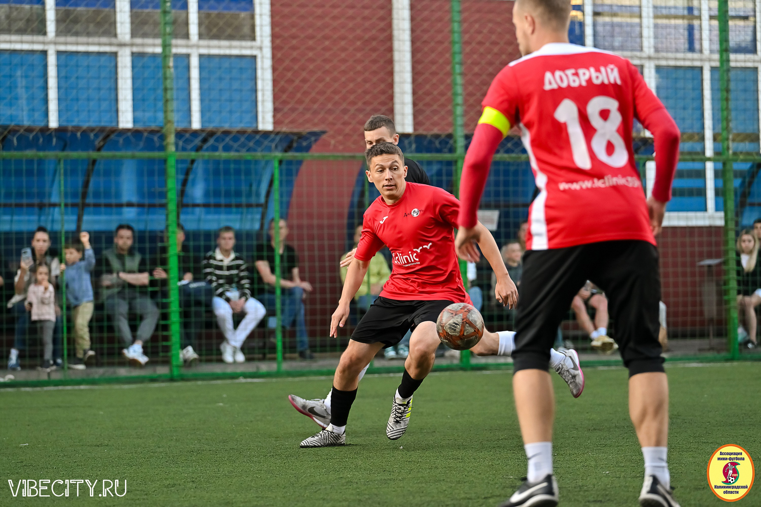 ИГРЫ МИНИ-ФУТБОЛЬНОЙ И КОРПОРАТИВНОЙ ЛИГИ. VIBECITY.RU Вайб Сити Ру Фоторепортажи Фотоотчеты Калининград