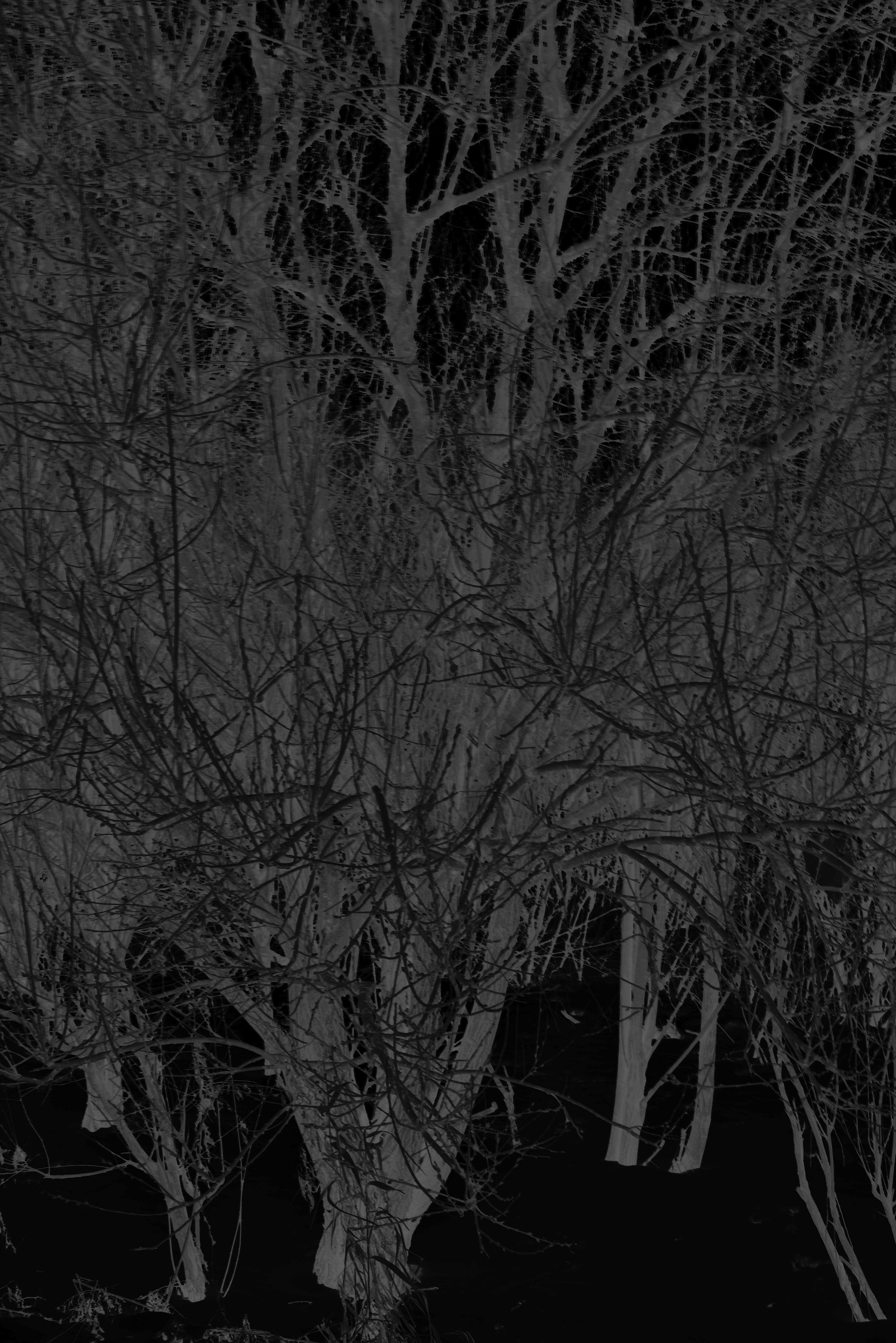 Скрытая иллюминация. Катрин Эдельвак