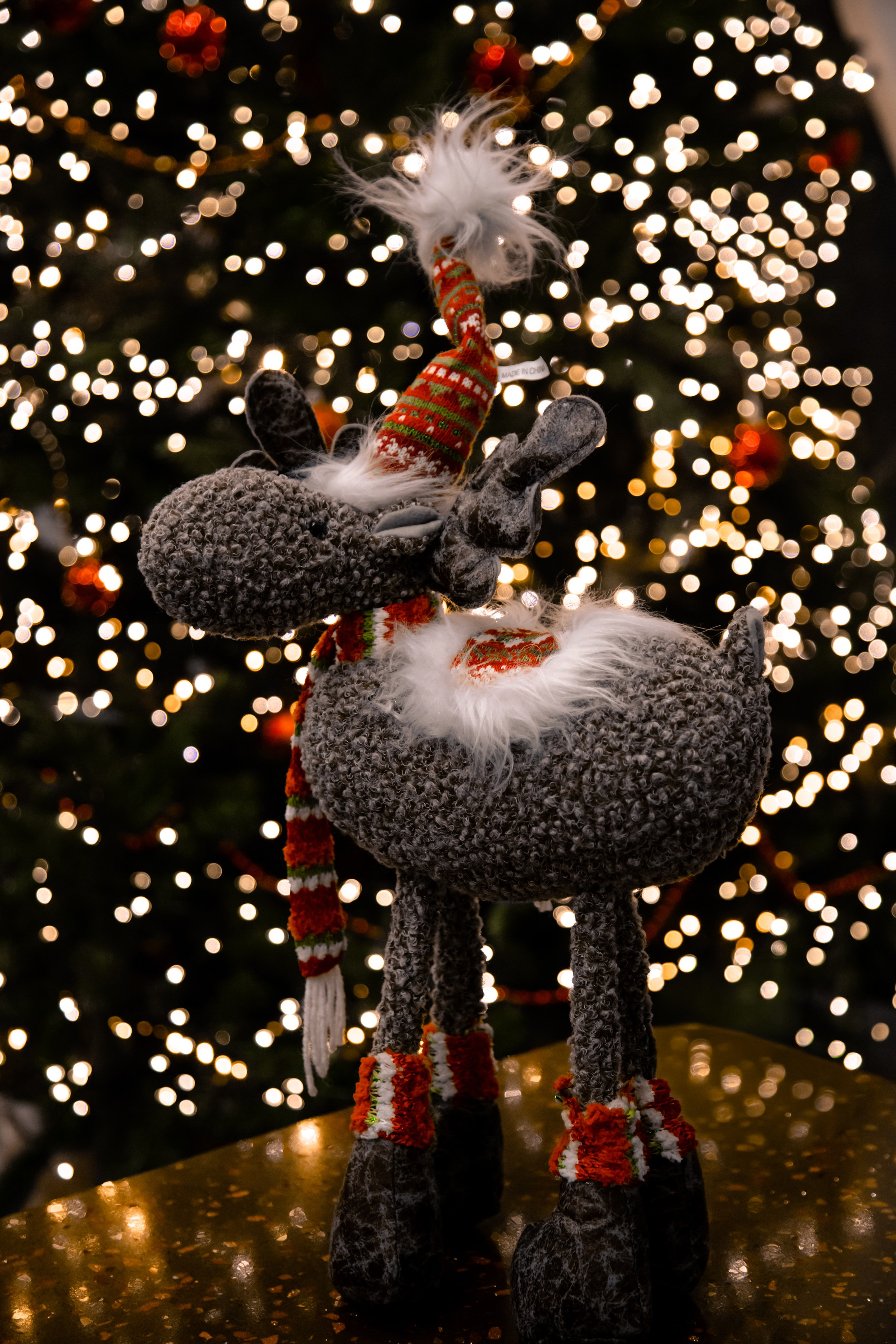 Заповедные места. МЕДИА-РЕСУРС ХАБАРОВСК / Фотоотчеты / Репортажи / События