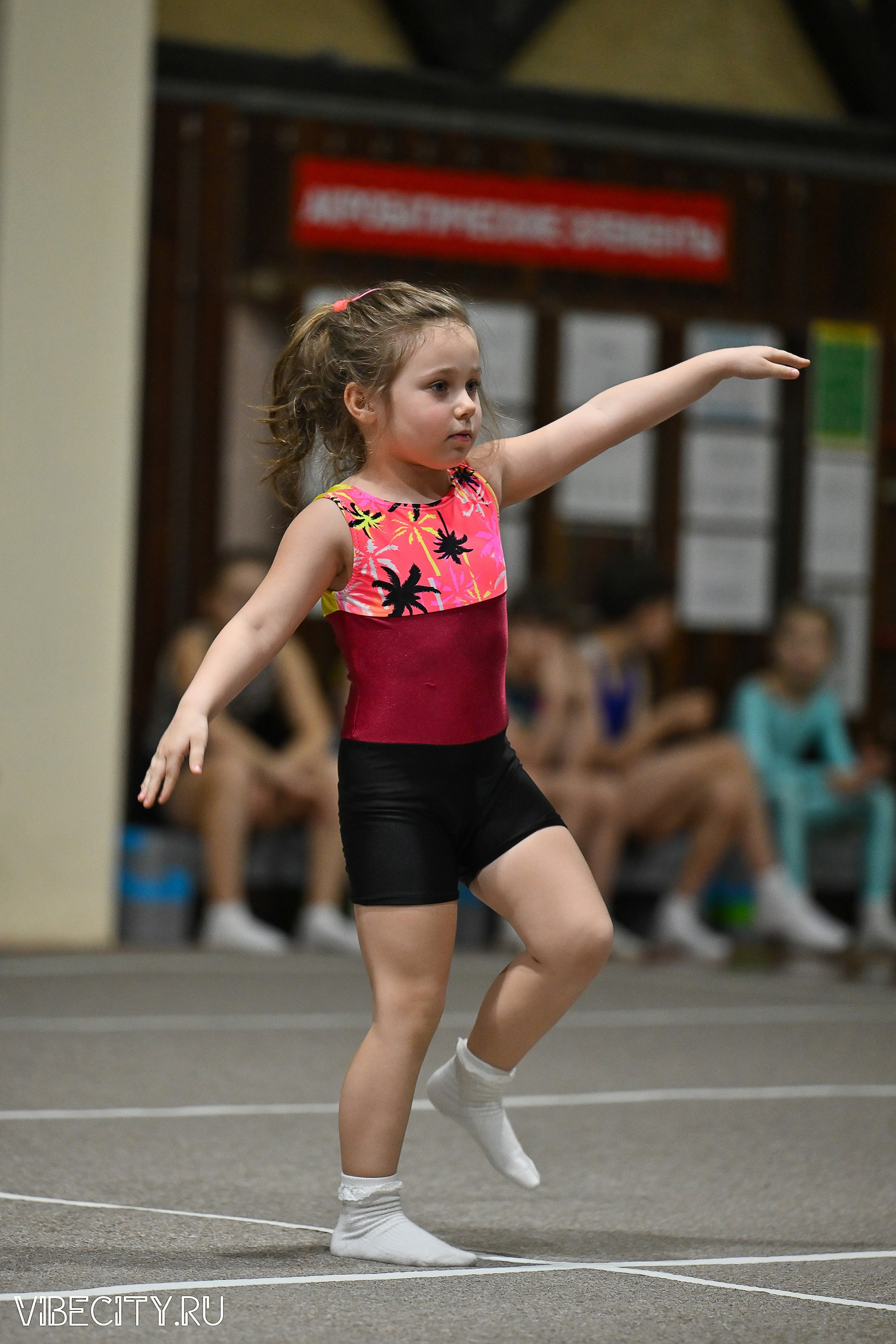 Контрольная тренировка по спортивной гимнастике. VIBECITY.RU Вайб Сити Ру Фоторепортажи Фотоотчеты Калининград