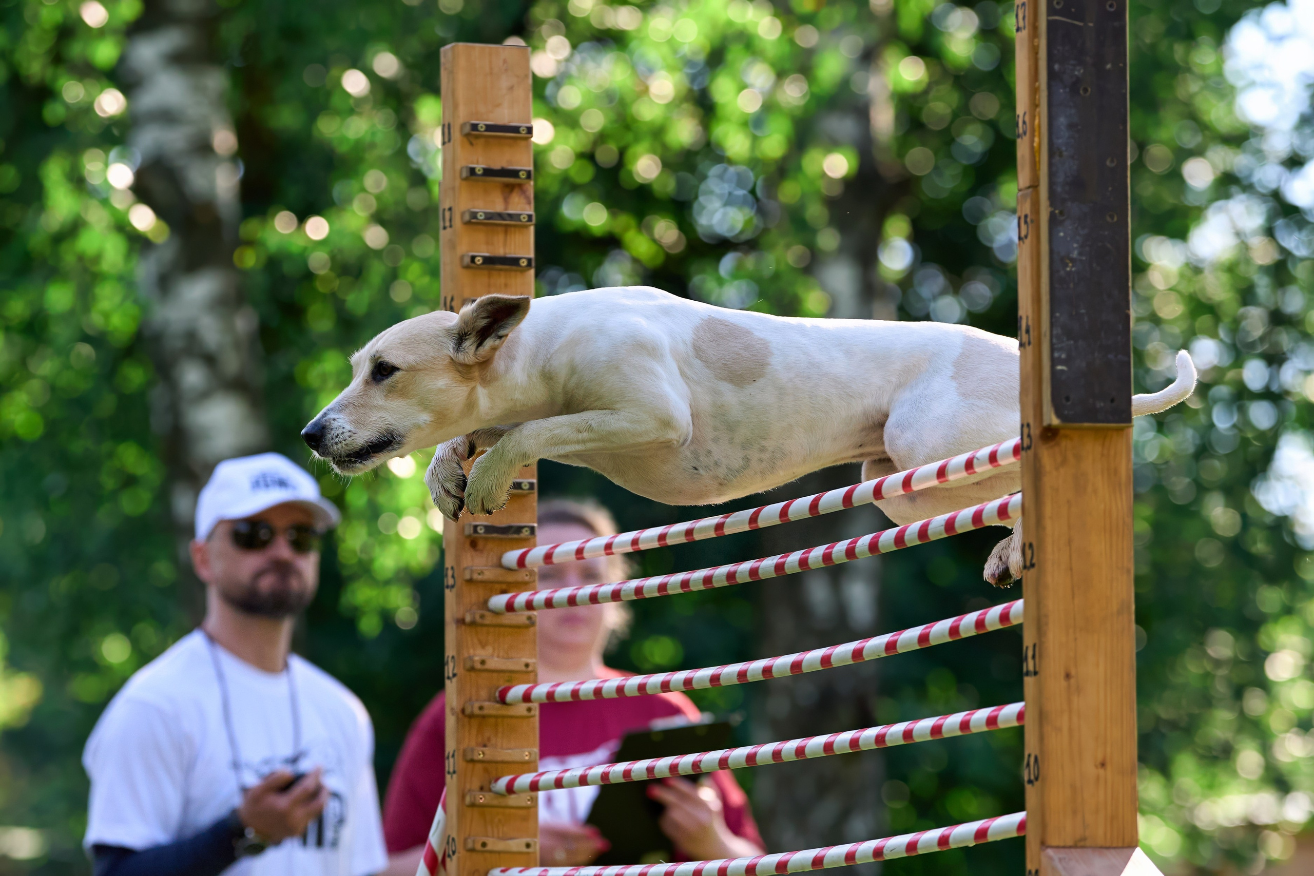 Двухдневные соревнования «Jump'n'Gym Fest — 2024». Фотограф-анималист Михаил Манухин