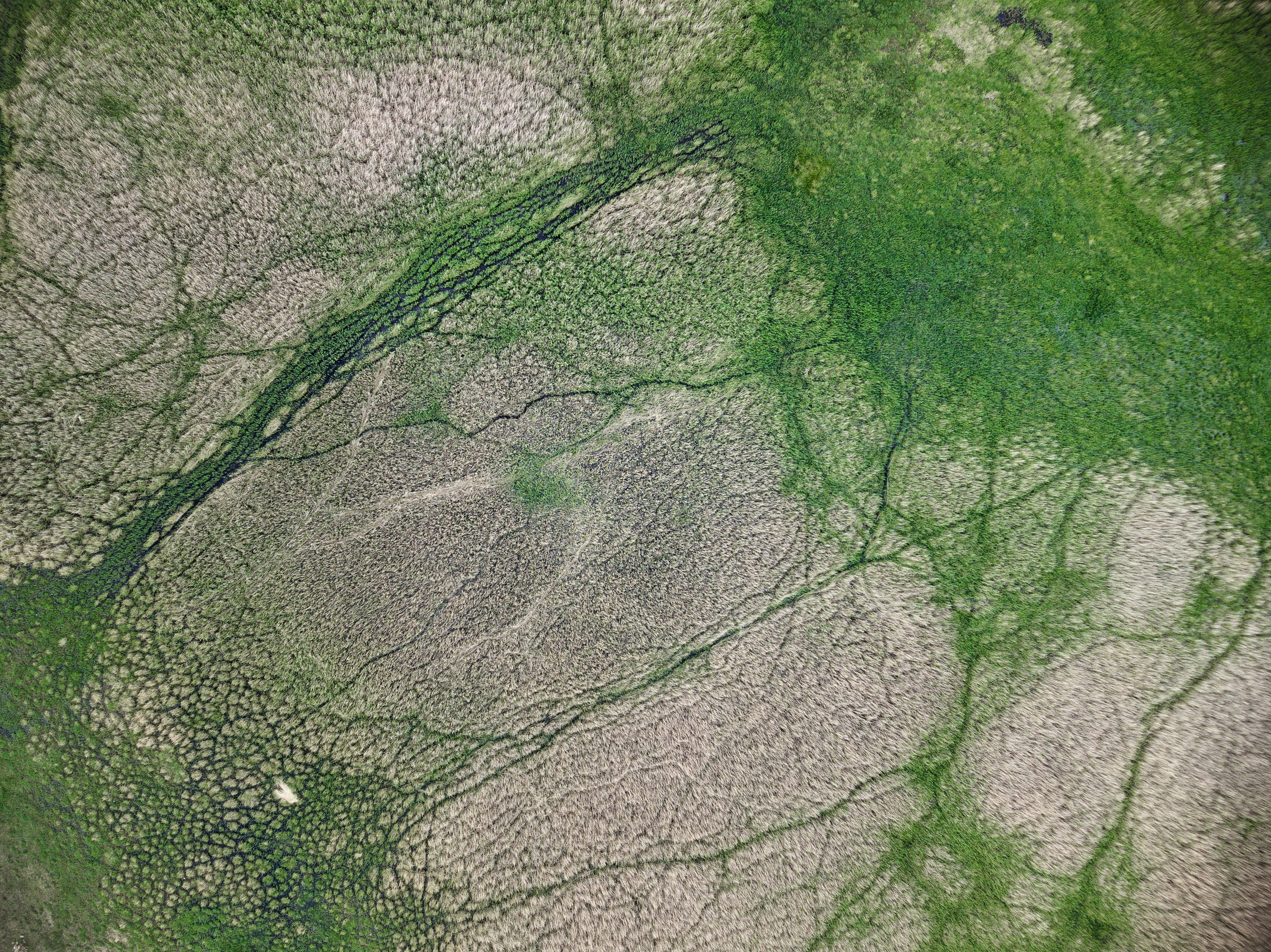 Экспедиция в Монголию (котловина больших озер). Семоха Валерий. Фотограф