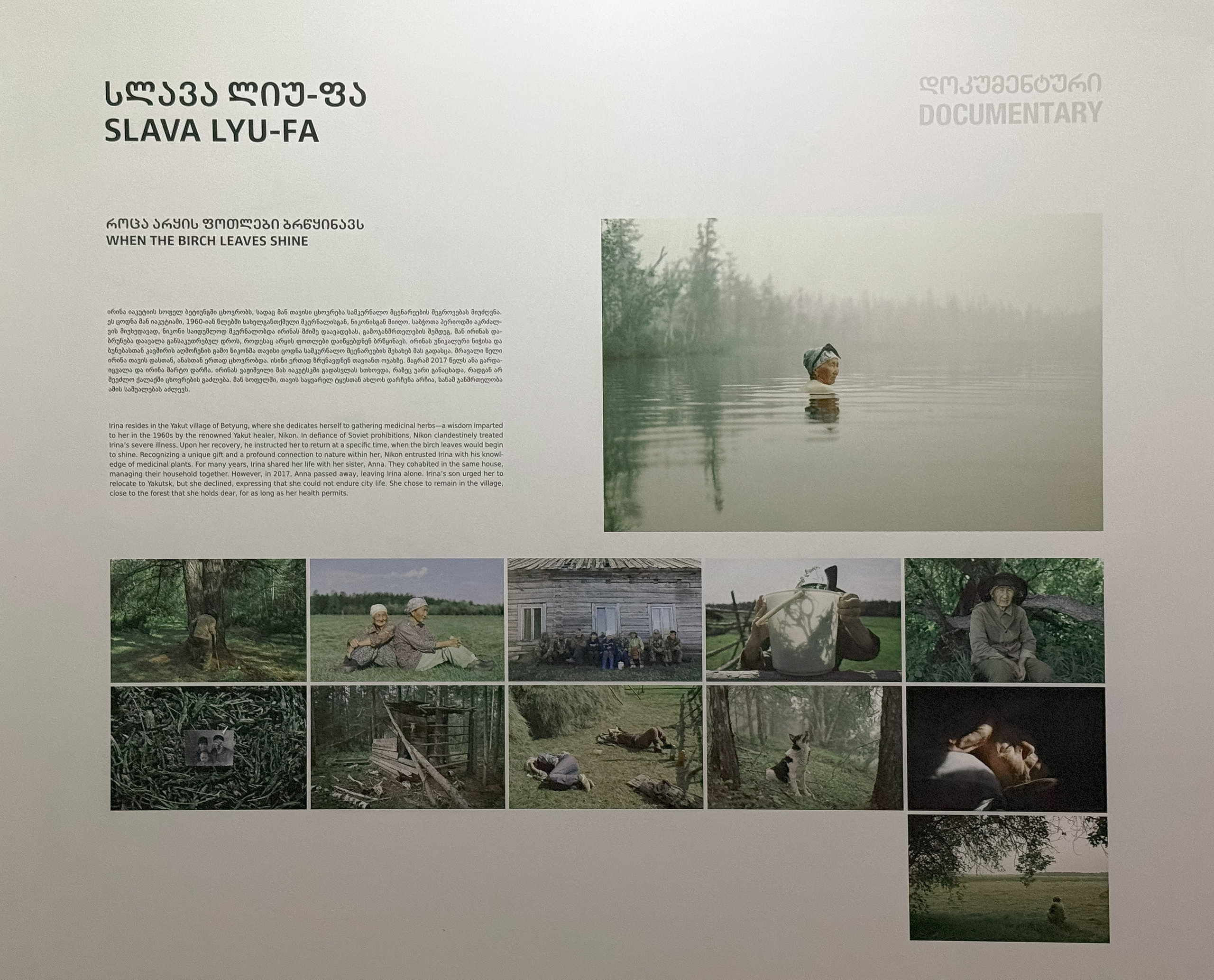 When the Birch Leaves Shine. Slava Lyu-fa