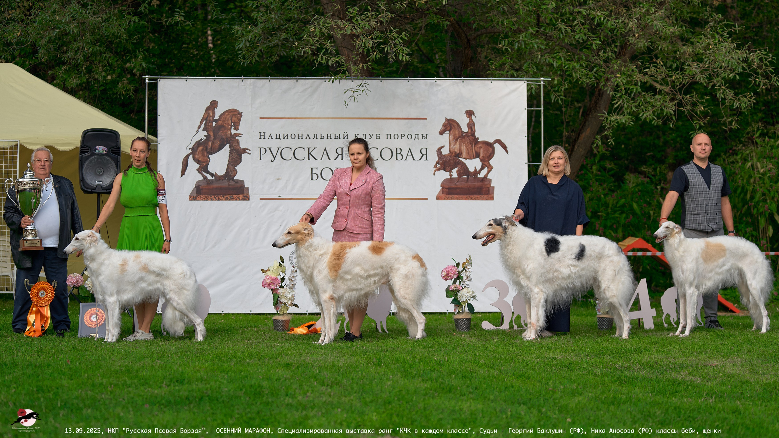 ОСЕННИЙ МАРАФОН | Специализированная выставка породы Русская Псовая Борзая ранг "КЧК в каждом классе"