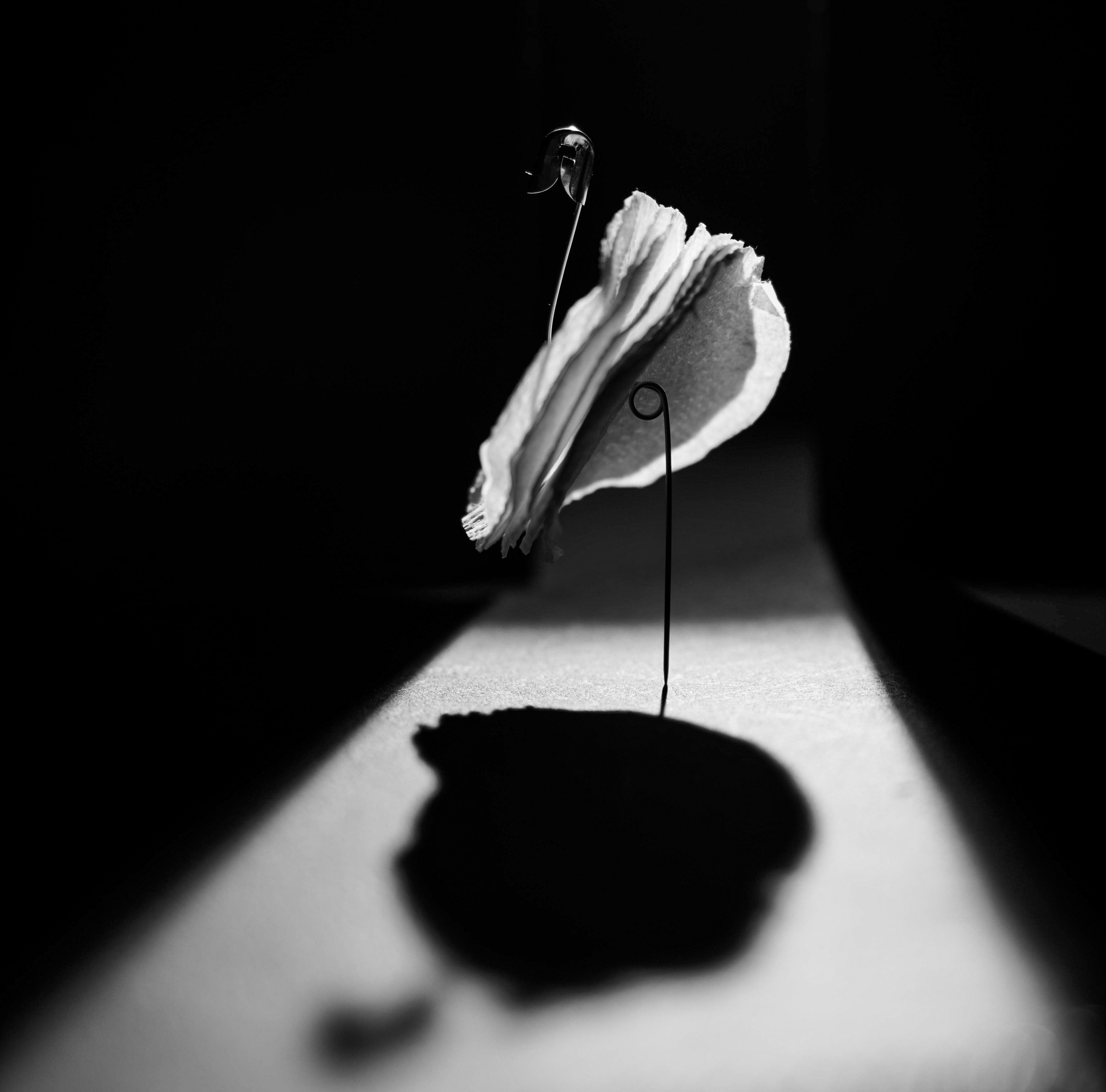 Курс «С нуля»