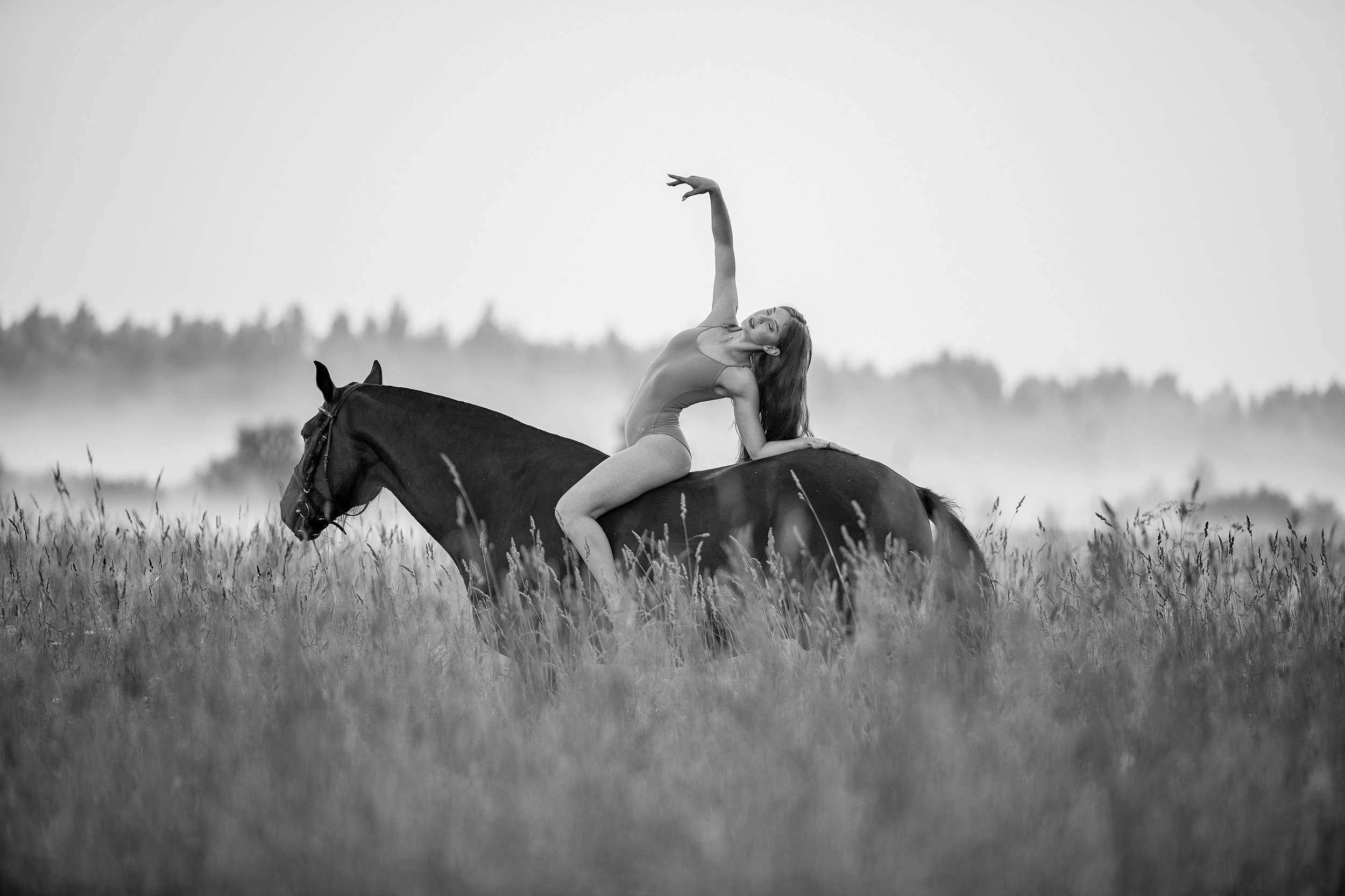 Балет и лошади, фотосессия «ГРАЦИЯ и СИЛА-1» Фотограф Михаил Семенов г. Ярославль
