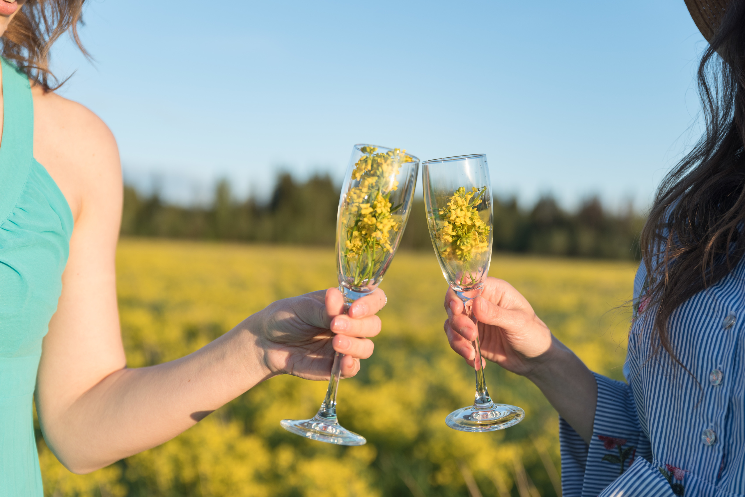 Жёлтое поле, жёлтое настроение