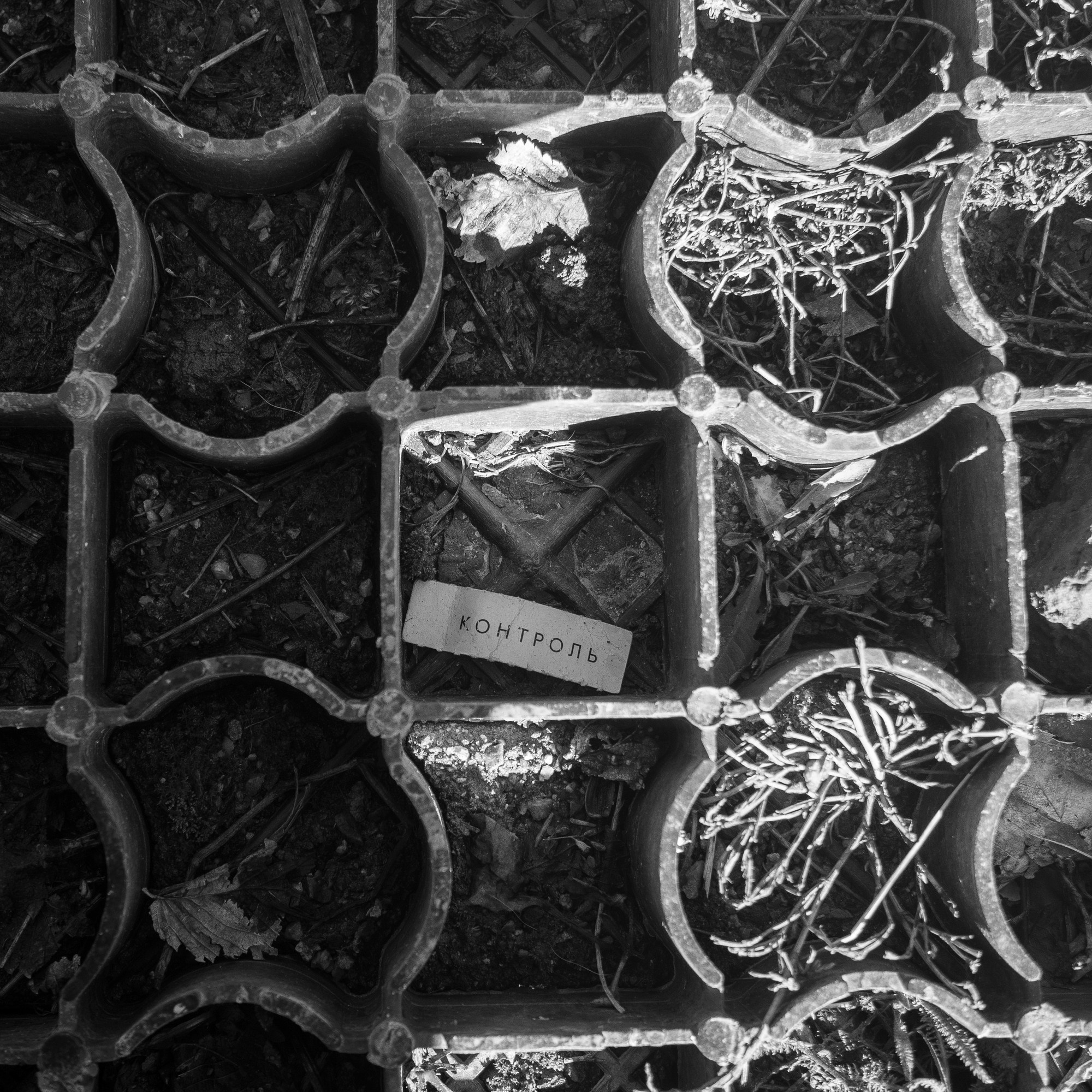 Прогулки по Суздальскому княжеству. Paintings by the artist Sergey Ratchin