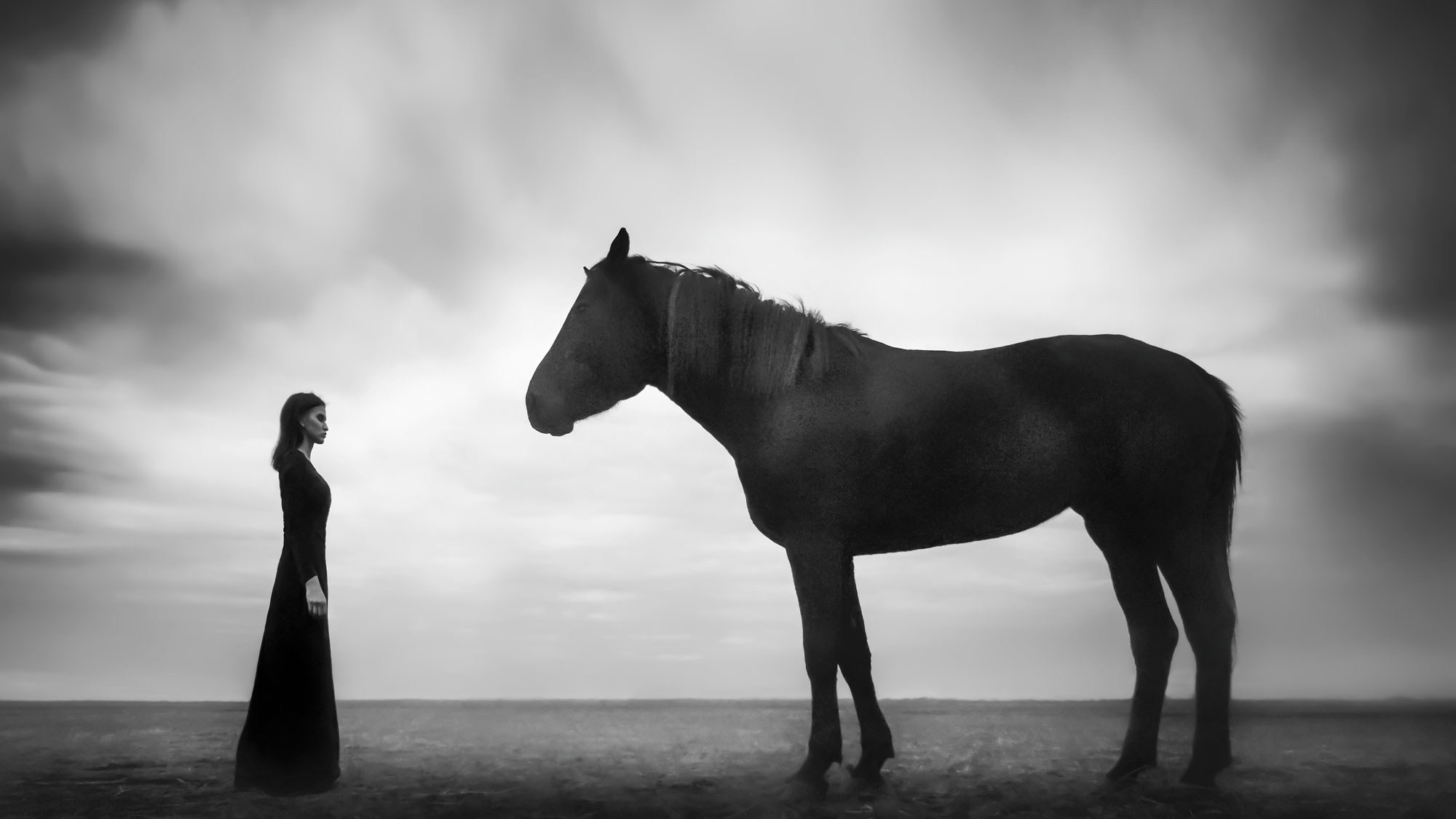 SALE OF DIGITAL FINE ART FILES BY ARTIST MIKHAIL POTAPOV