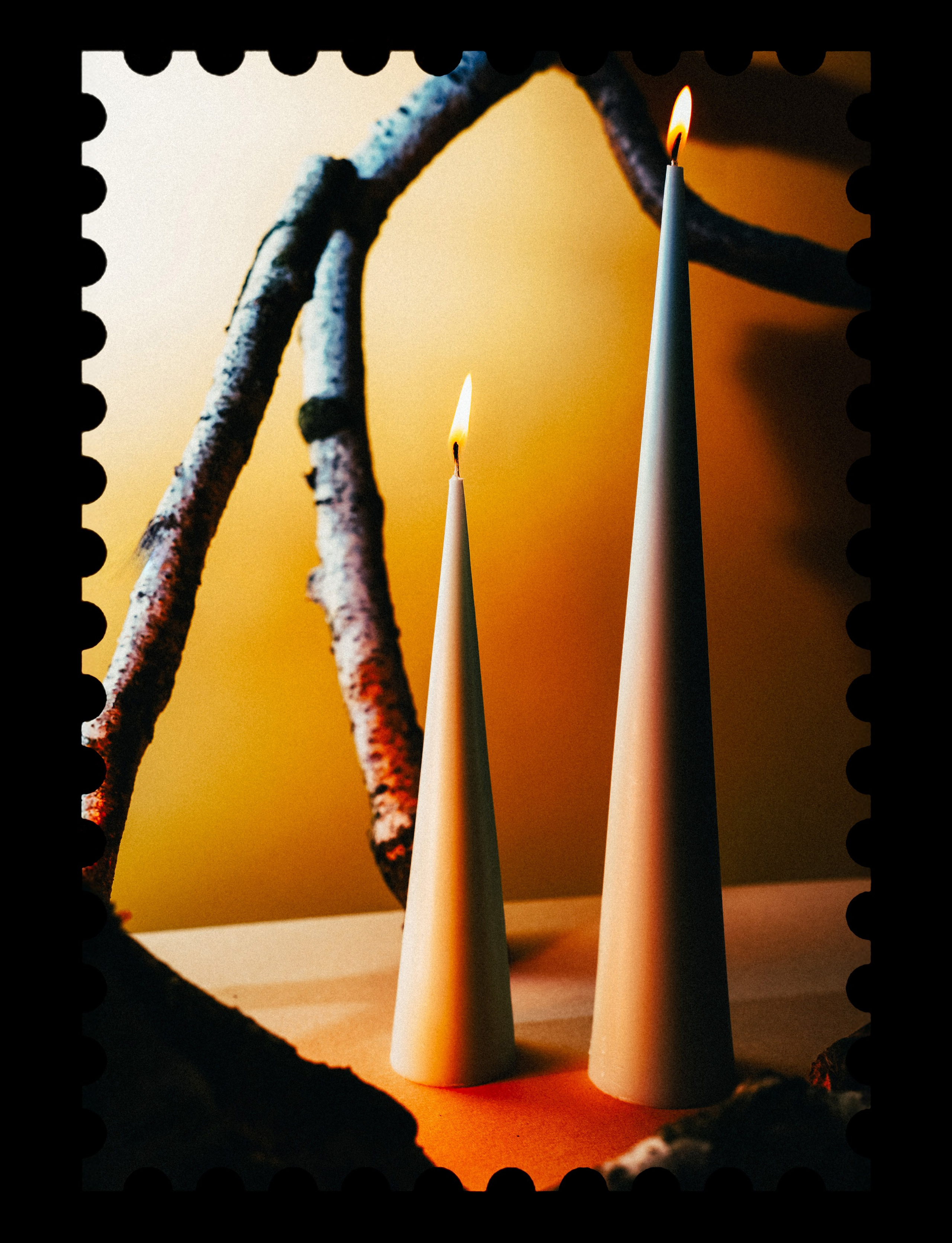 Фотограф из Москвы — DASHA NOVA | Авторская фотография в разных жанрах