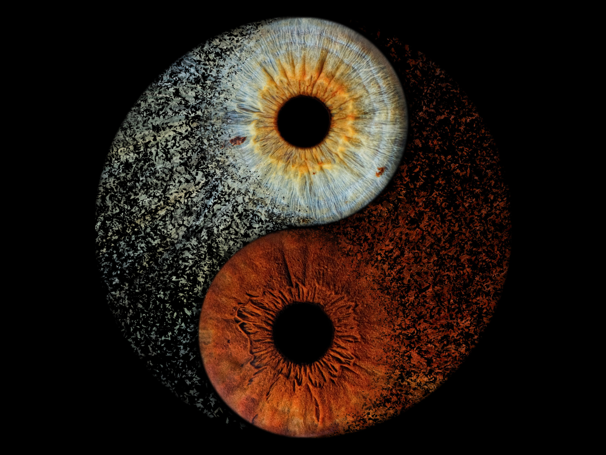 Фото Радужки / Photo of the iris. Фотостудия Eyes Art Studio