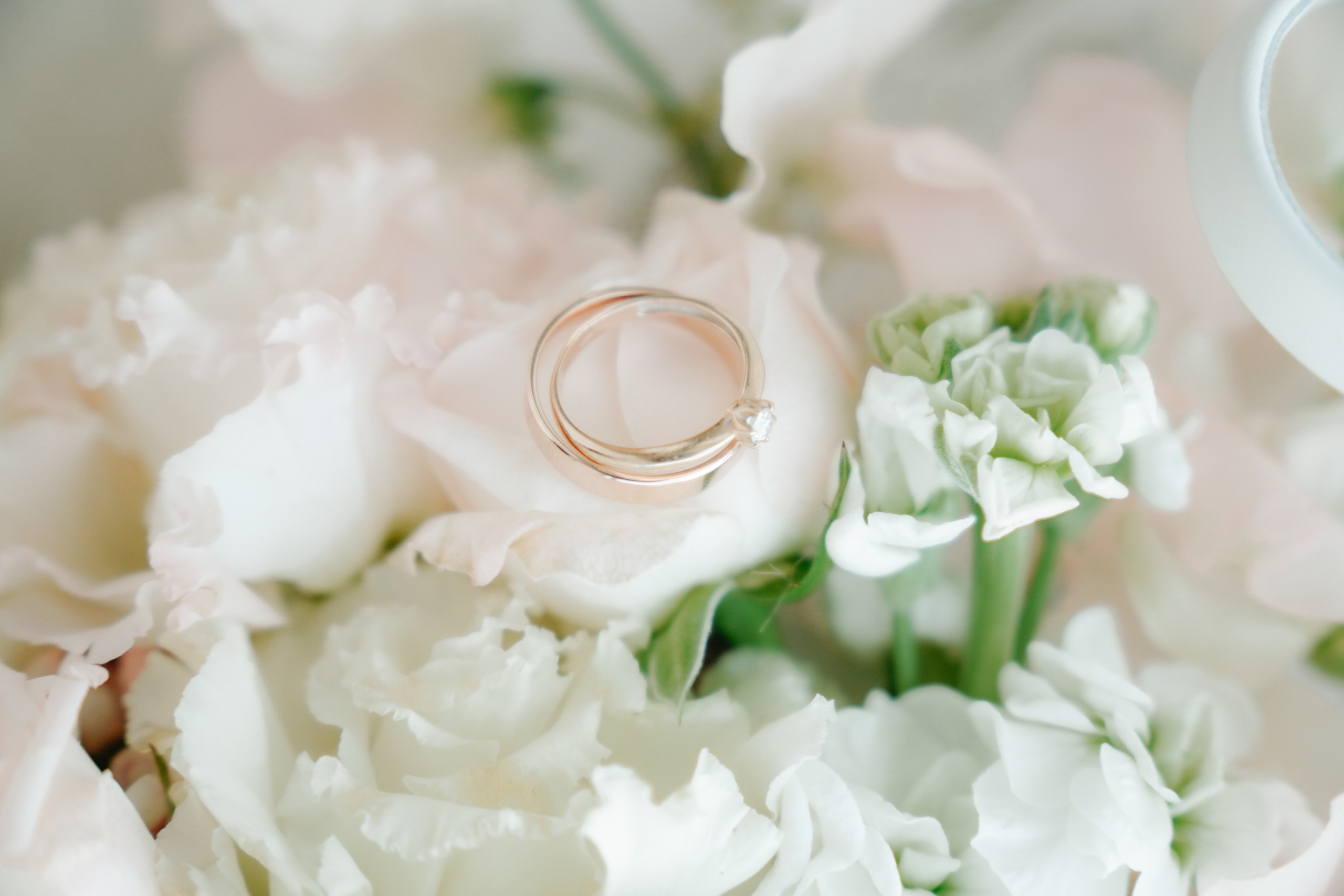 Царицынский дворец. Фото | Видео Контент Мишель Ватаманюк