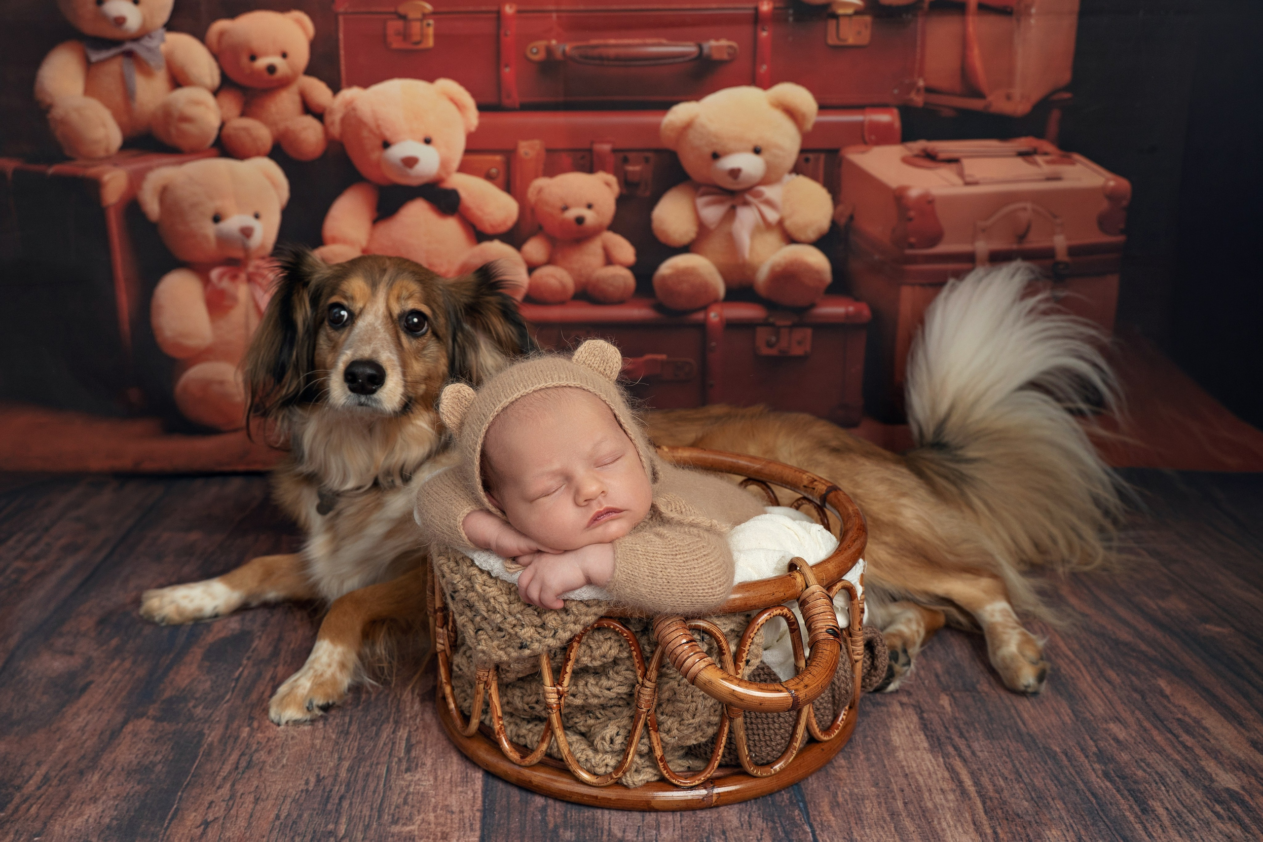NEWBORN. Фотограф Татьяна Викулова Москва и Московская облата