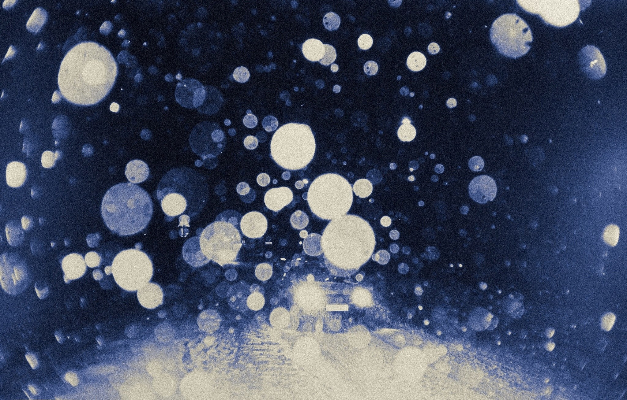 Мастер классы от Георгия Романова зима 2024-2025. Плёночный фотограф, заказать фото на плёнку в Москве — Георгий Романов