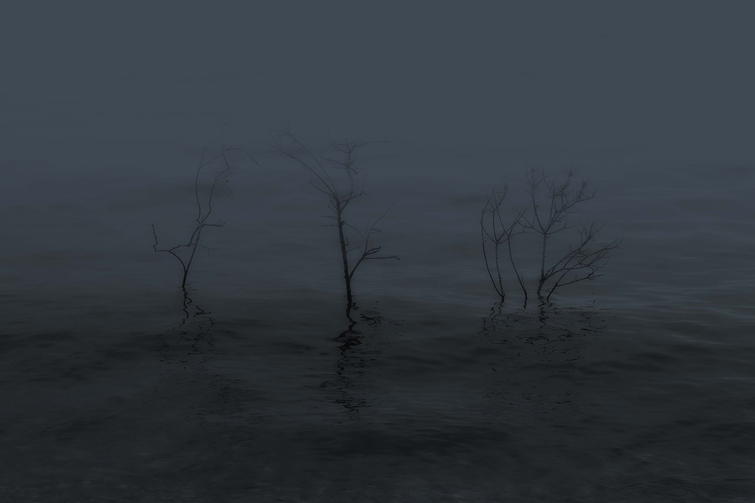 Тропа волн. Julia Altukhova, multimedia artist