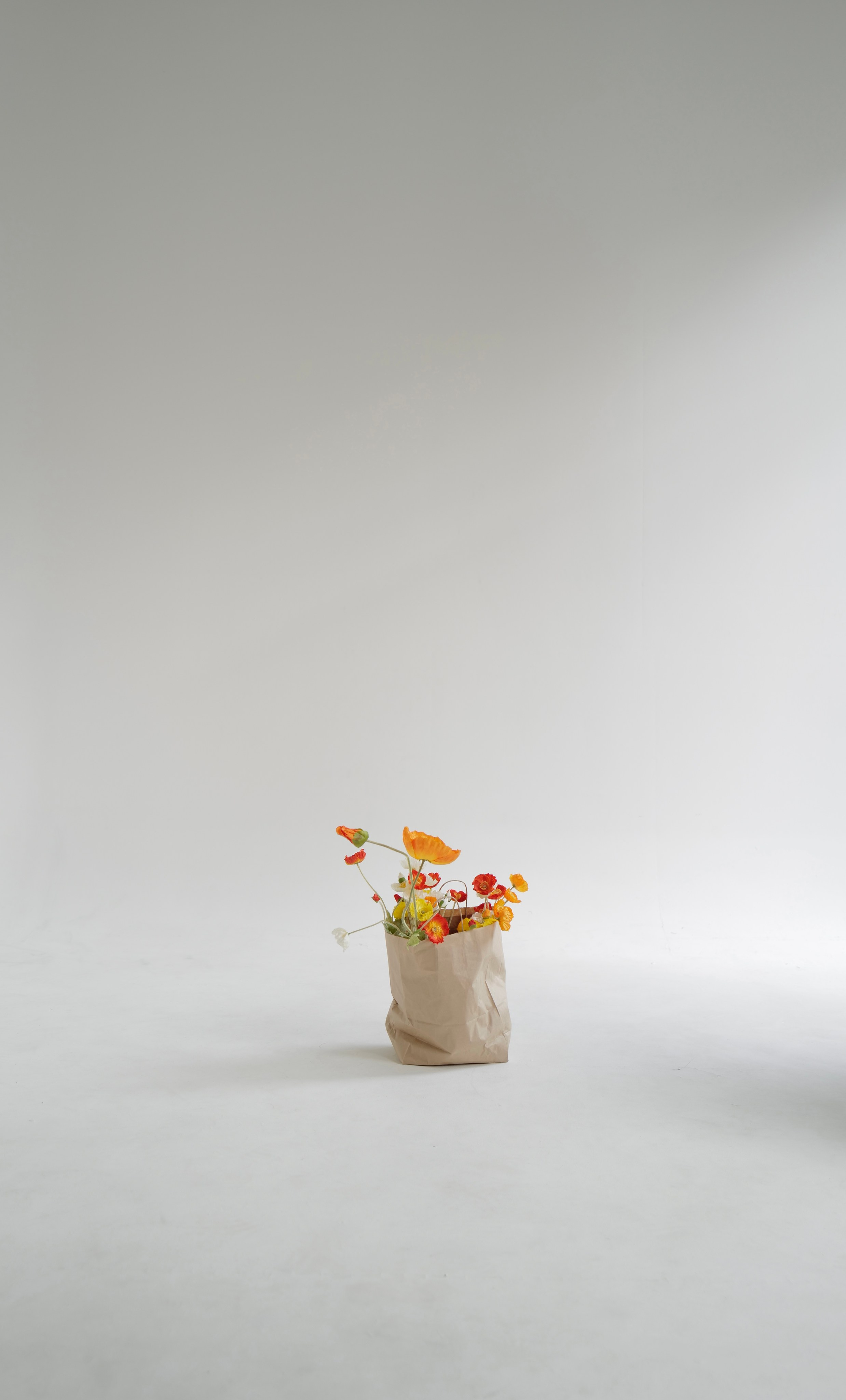 Фотостудия Ростов-на-Дону