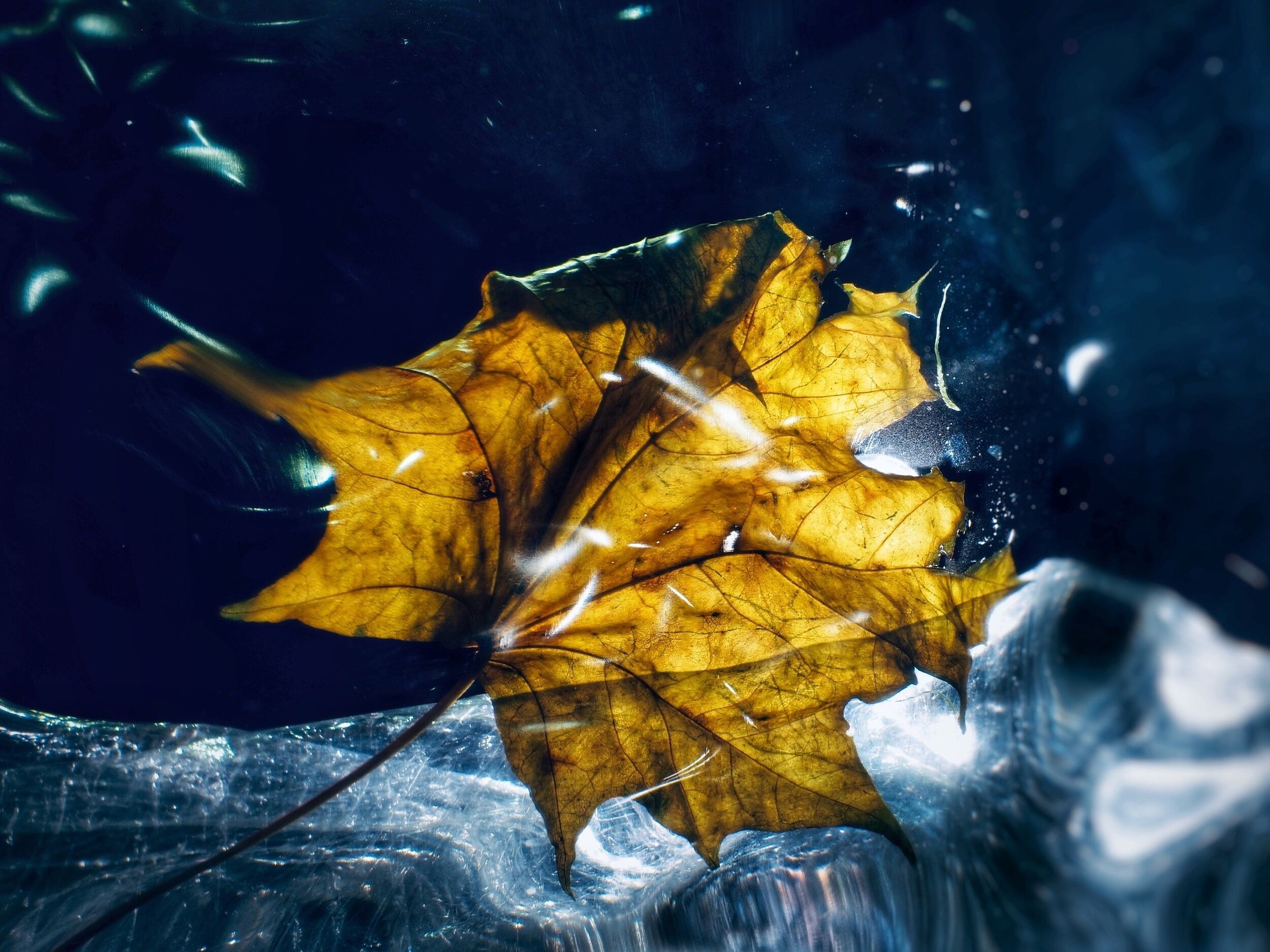 Елена Гонтаренко — художественный портрет. Фотограф в России, Семейный фотограф, репортажный фотограф, детский фотограф, портретный фотограф, контент фотограф, универсальный фотограф