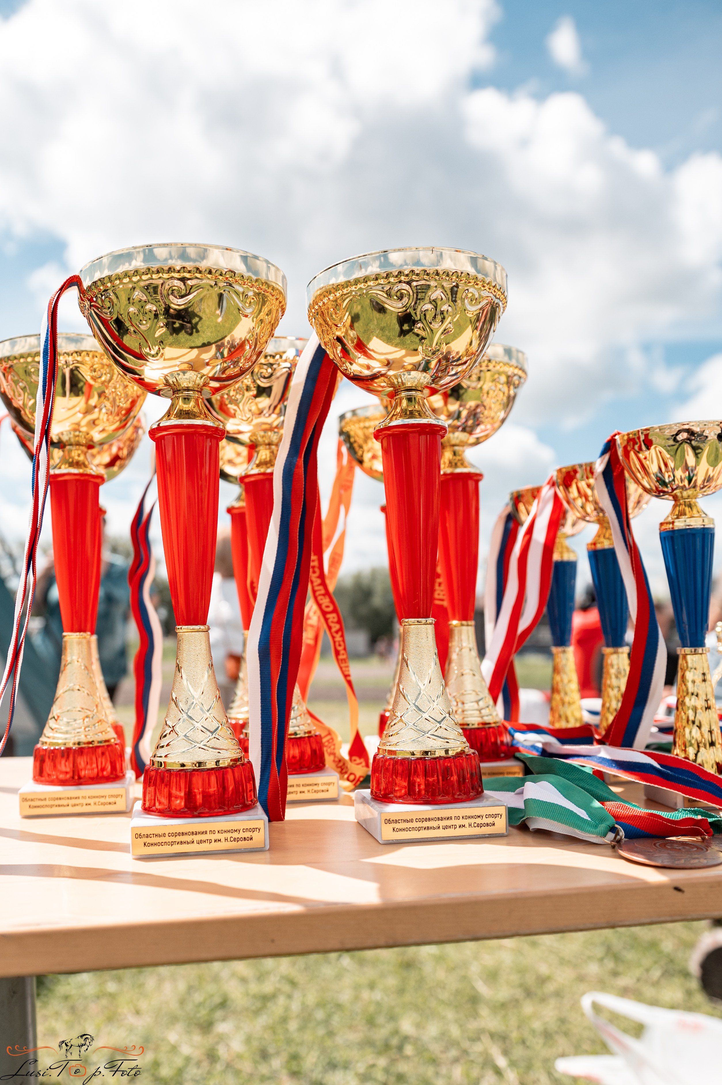 Областные соревнования по выездке. Тверь. Конный и фотограф с животными в Твери Топталова Люся