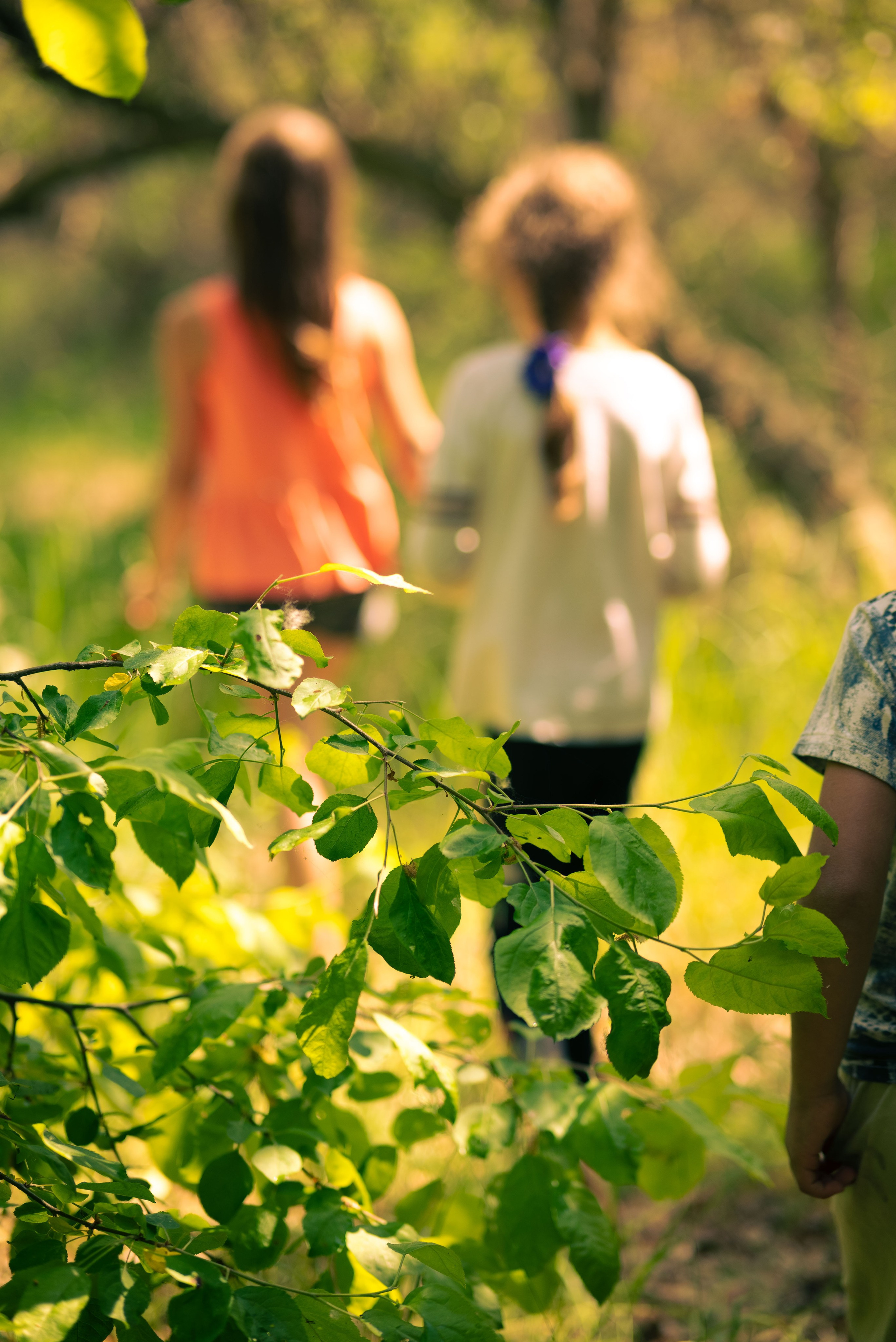 Дети на воле. Семейный, Детский, Контент фотограф в Самаре Renatto (Ренат Алимбиков)