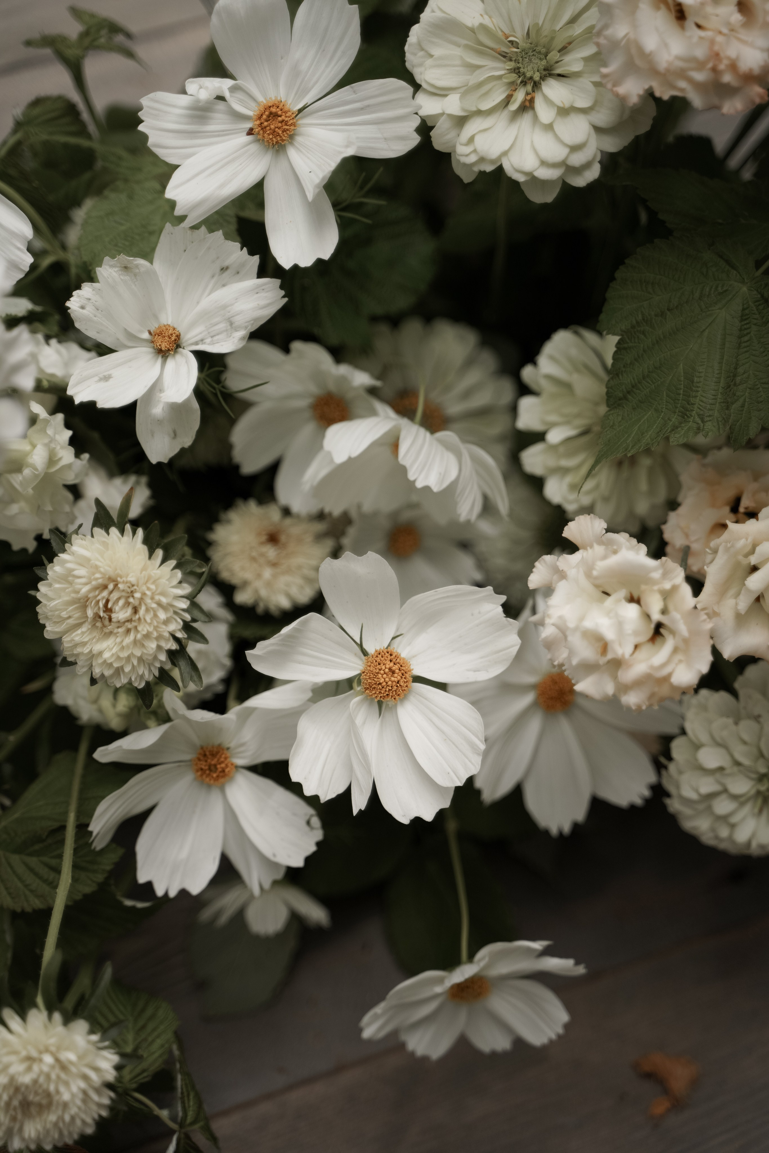 Анна и Андрей. Свадебный фотограф Марина Попова