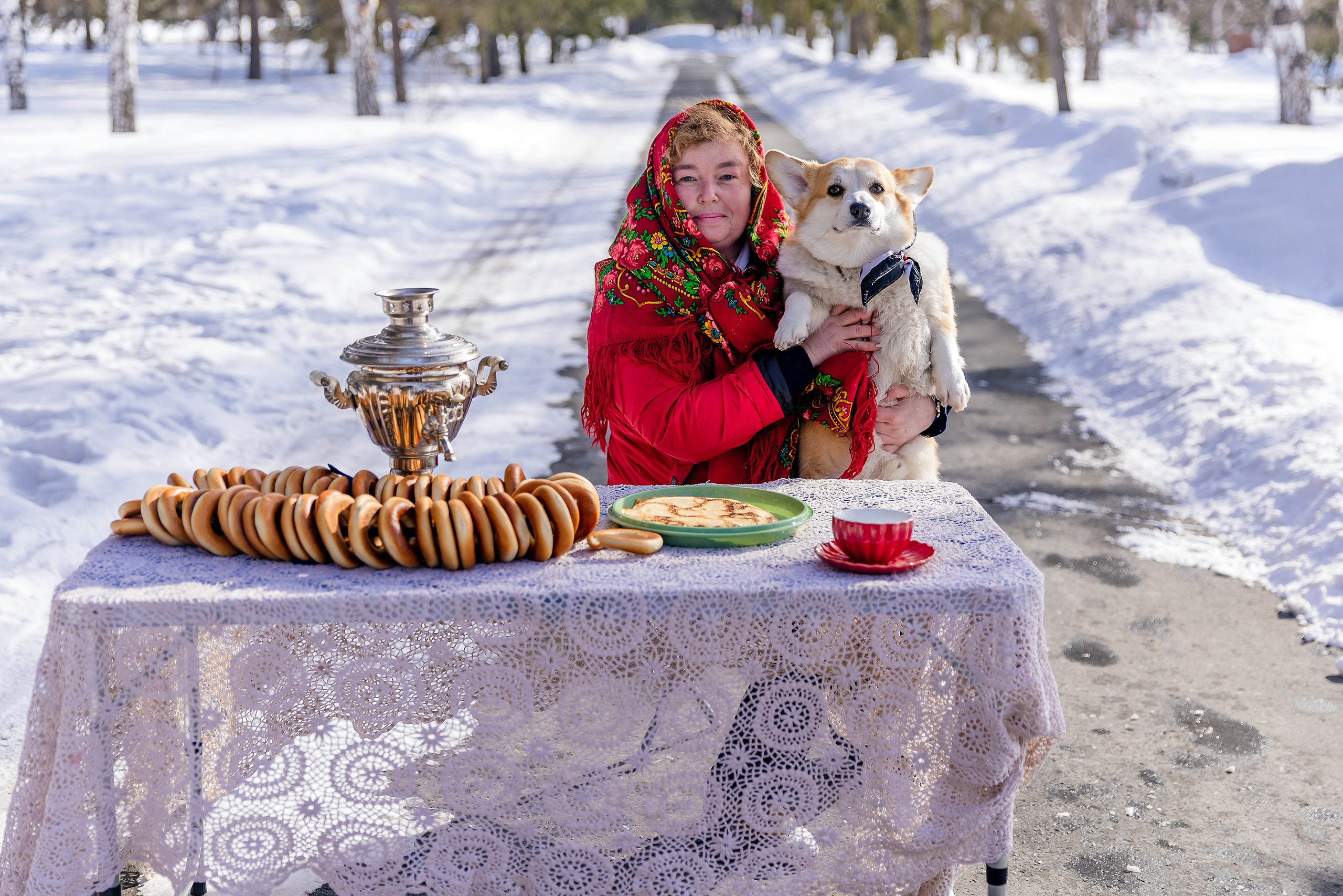Корги-туса. Фотограф-анималист в Омске Екатерина Маричева