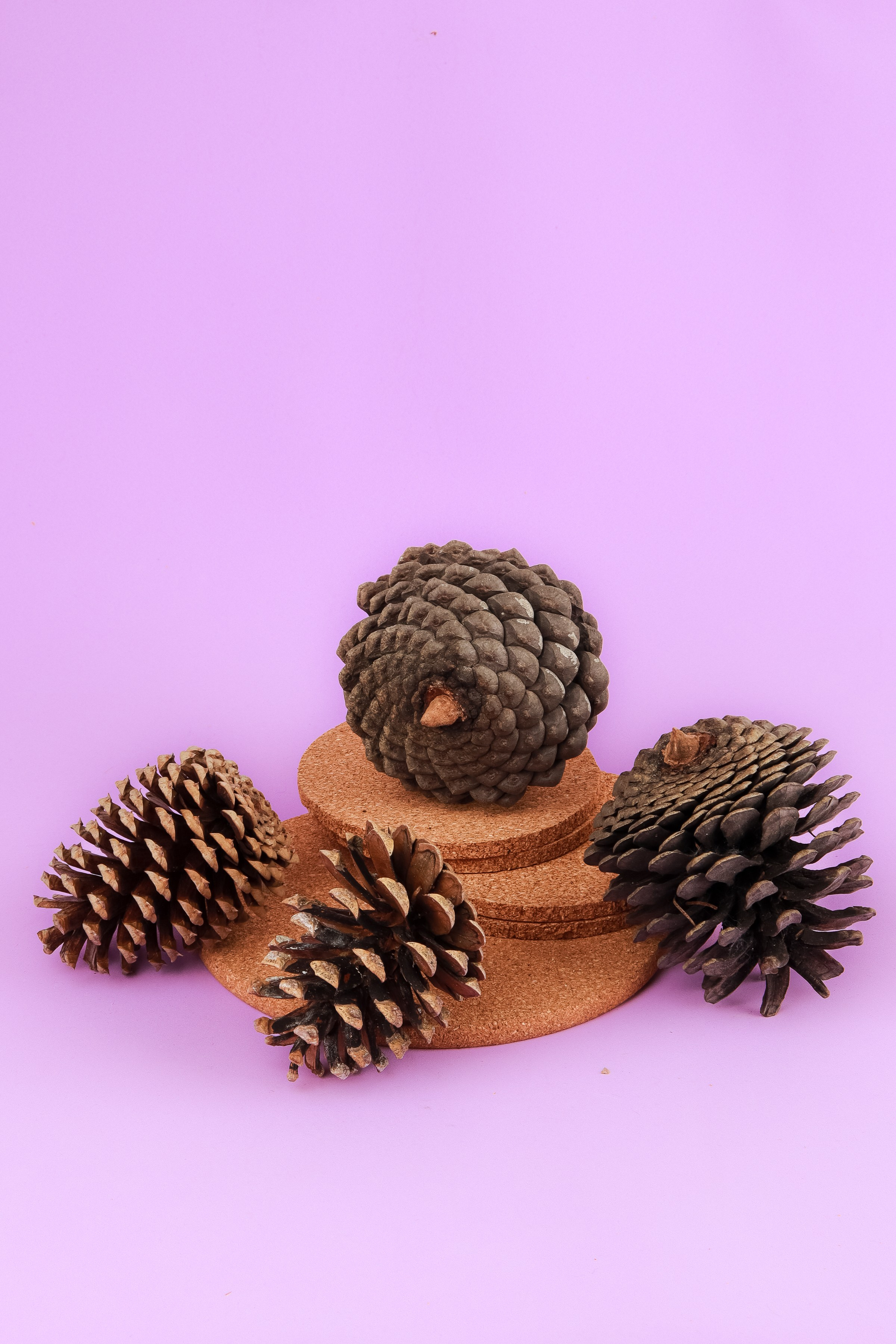 Реквизит и Оборудование