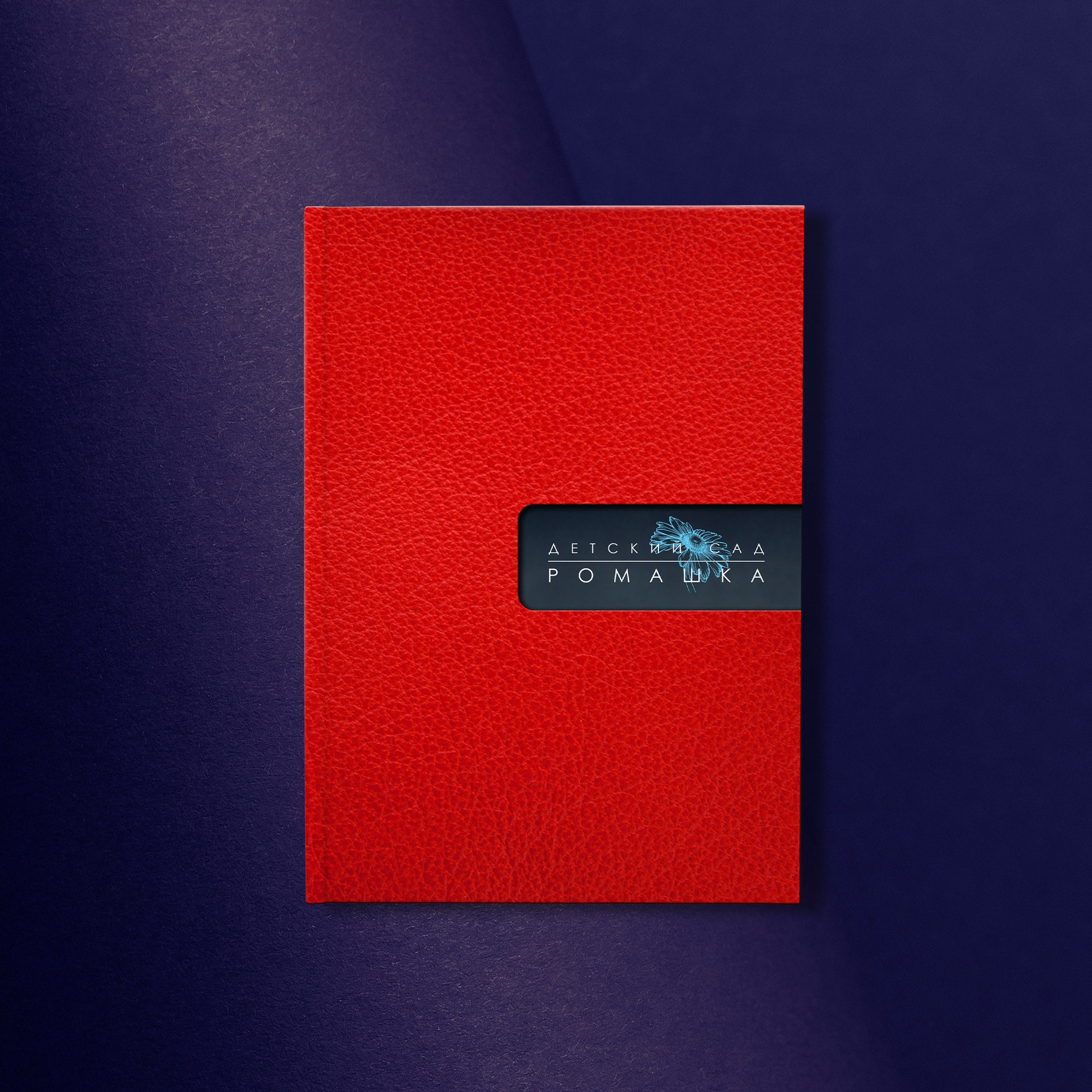 Обложка индивидуального выпускного альбома для ДС