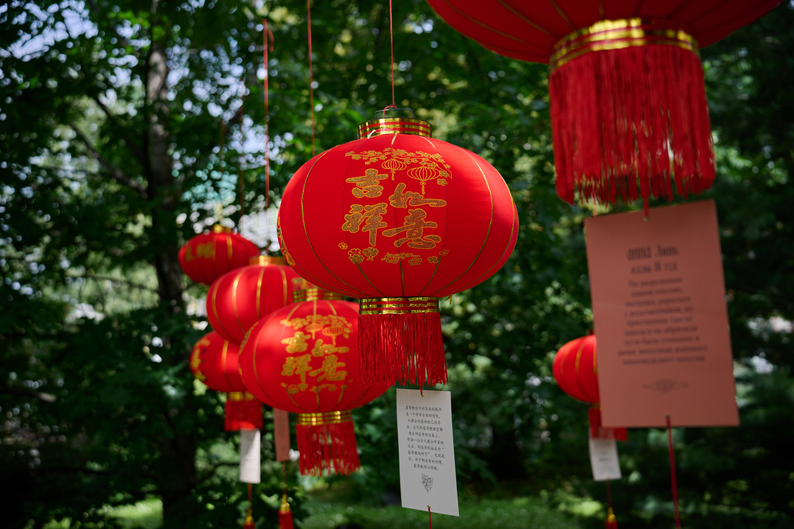 Накануне праздника китайских мучеников. Фотограф в Москве