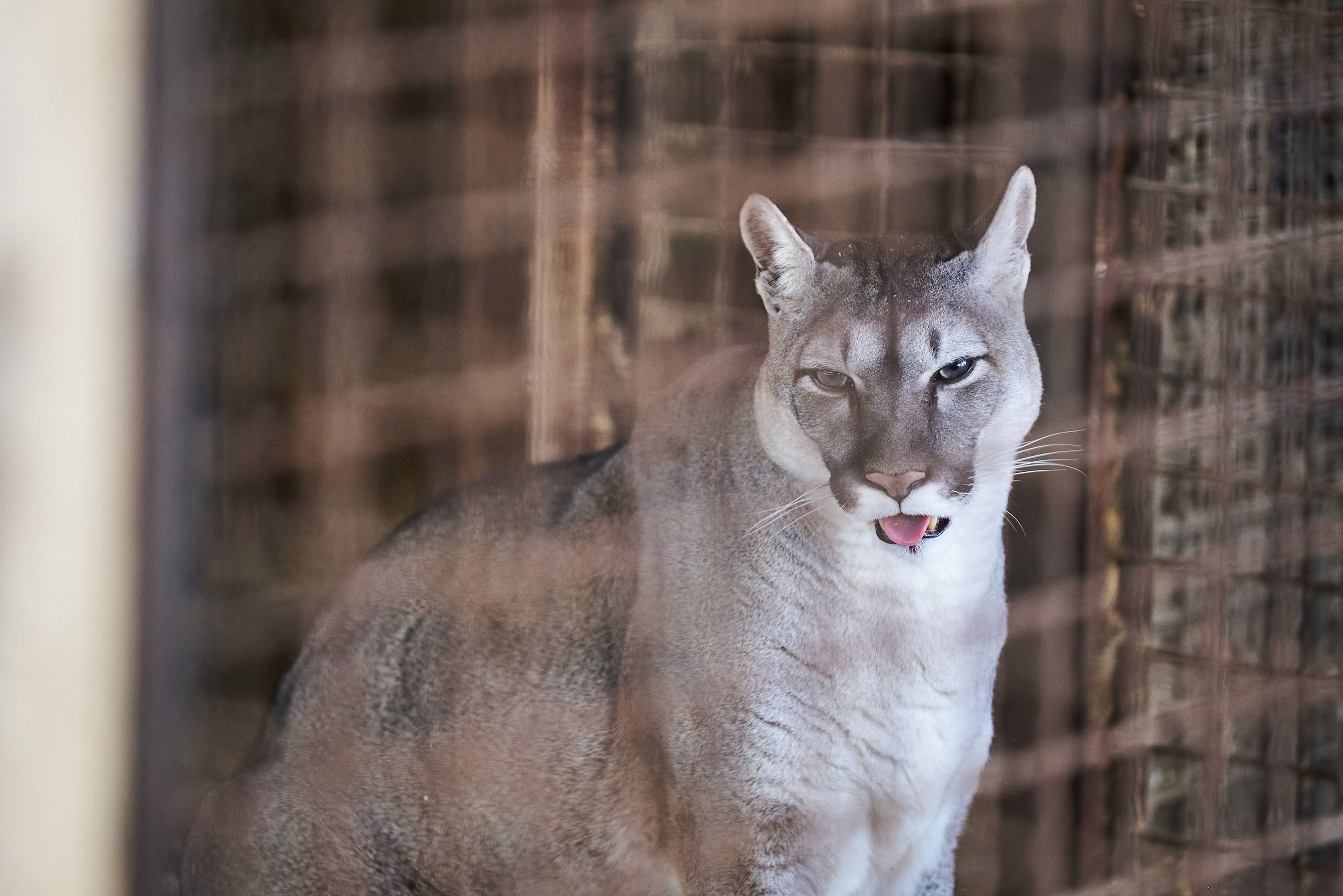 Зоопарк Иваново. Фотограф в Иваново: Каталожная съемка одежды и постельного белья, Wildberries