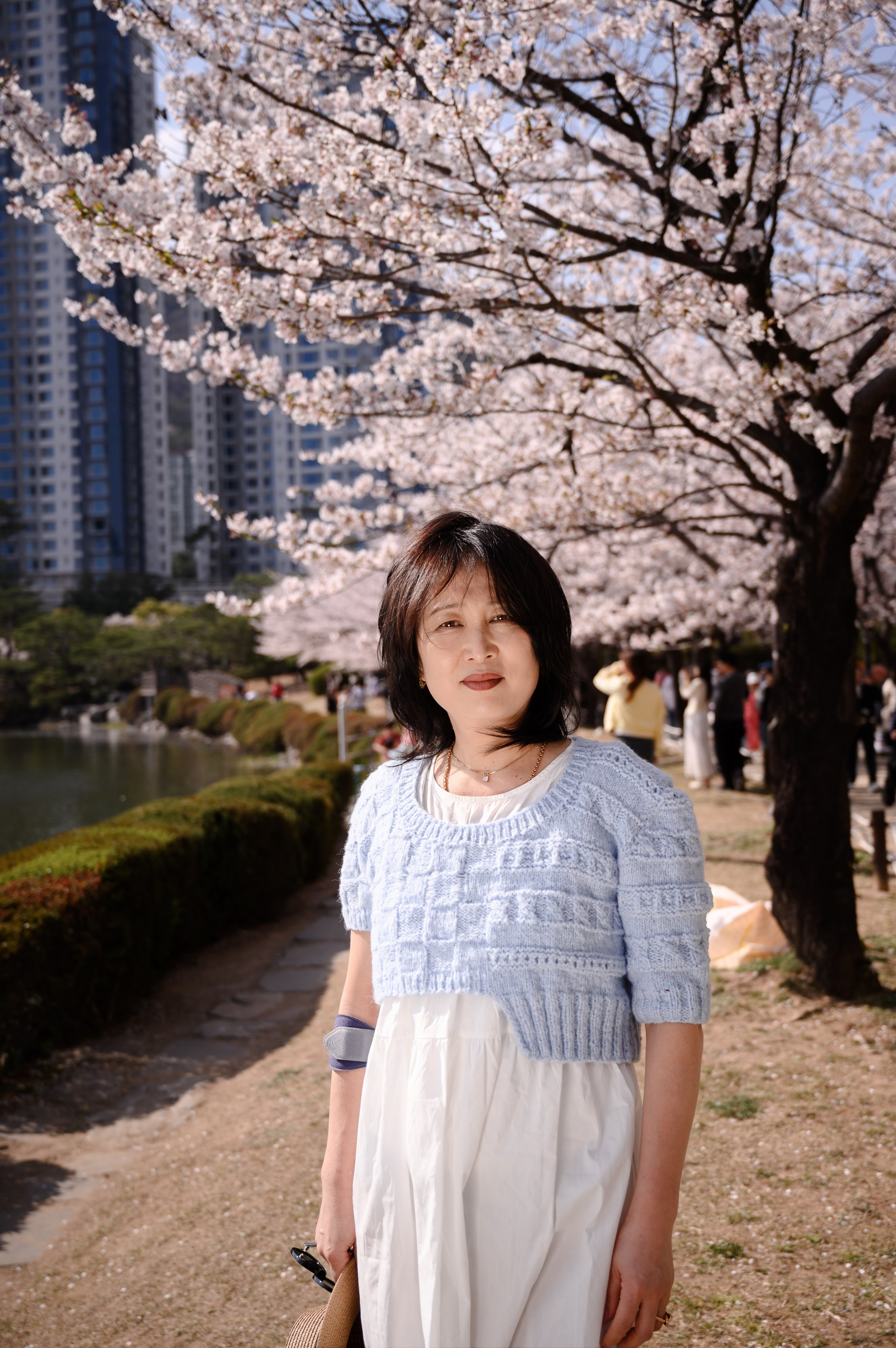 Cherry blossom photoshoot in Busan South Korea spring season