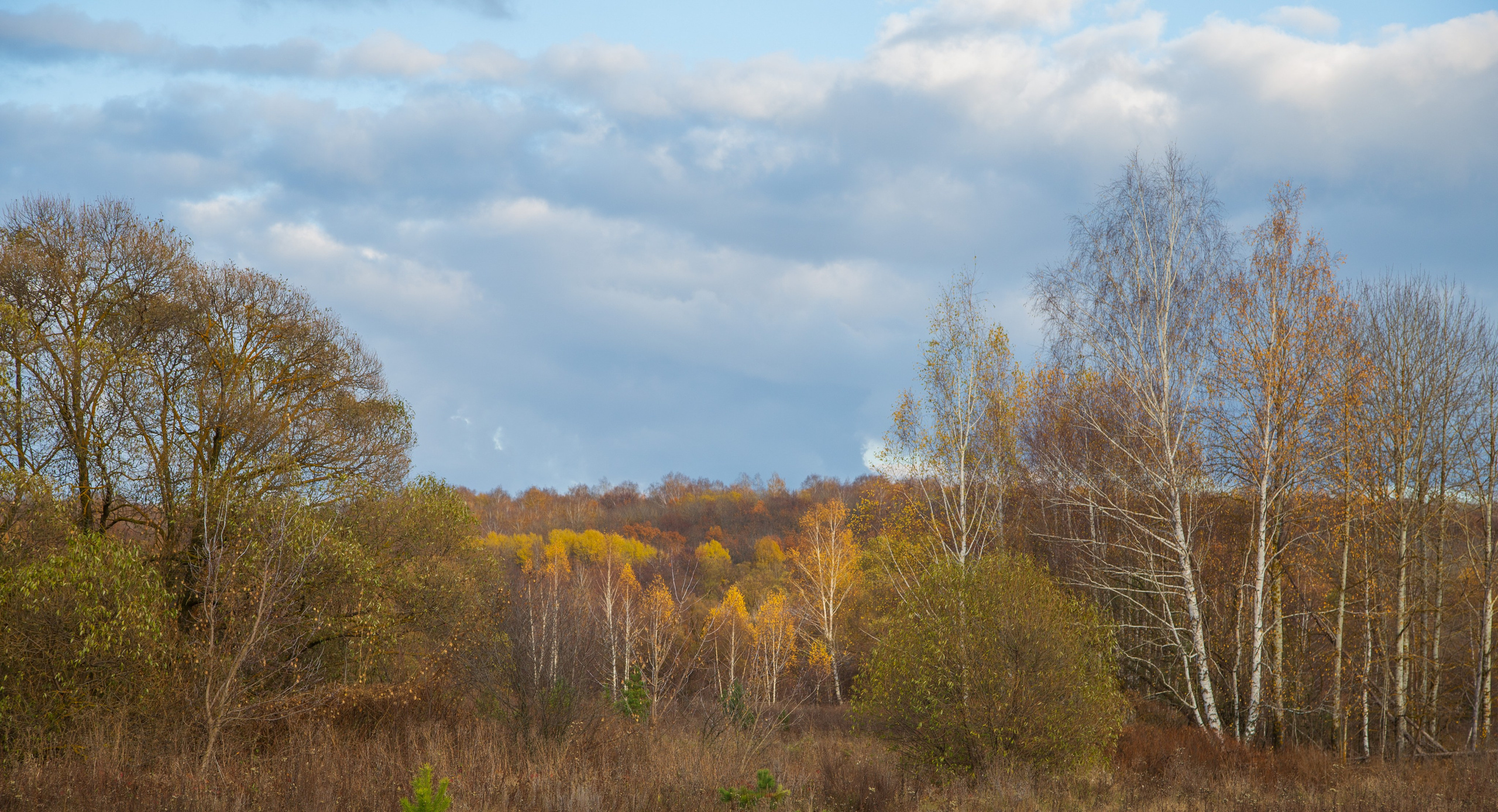 ТВОРЧЕСТВО. Творческая студия АЛНИфото