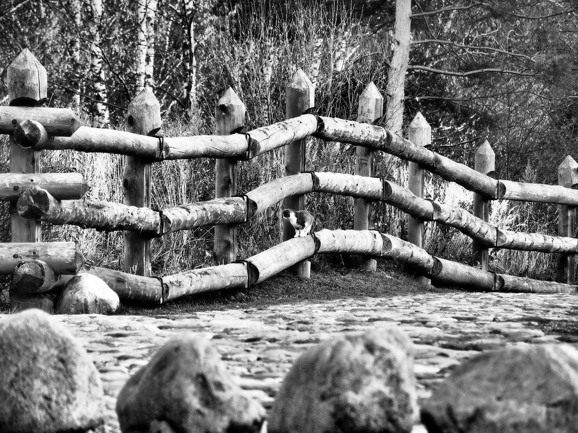 Плёс. Московский фотограф Дмитрий Потапов